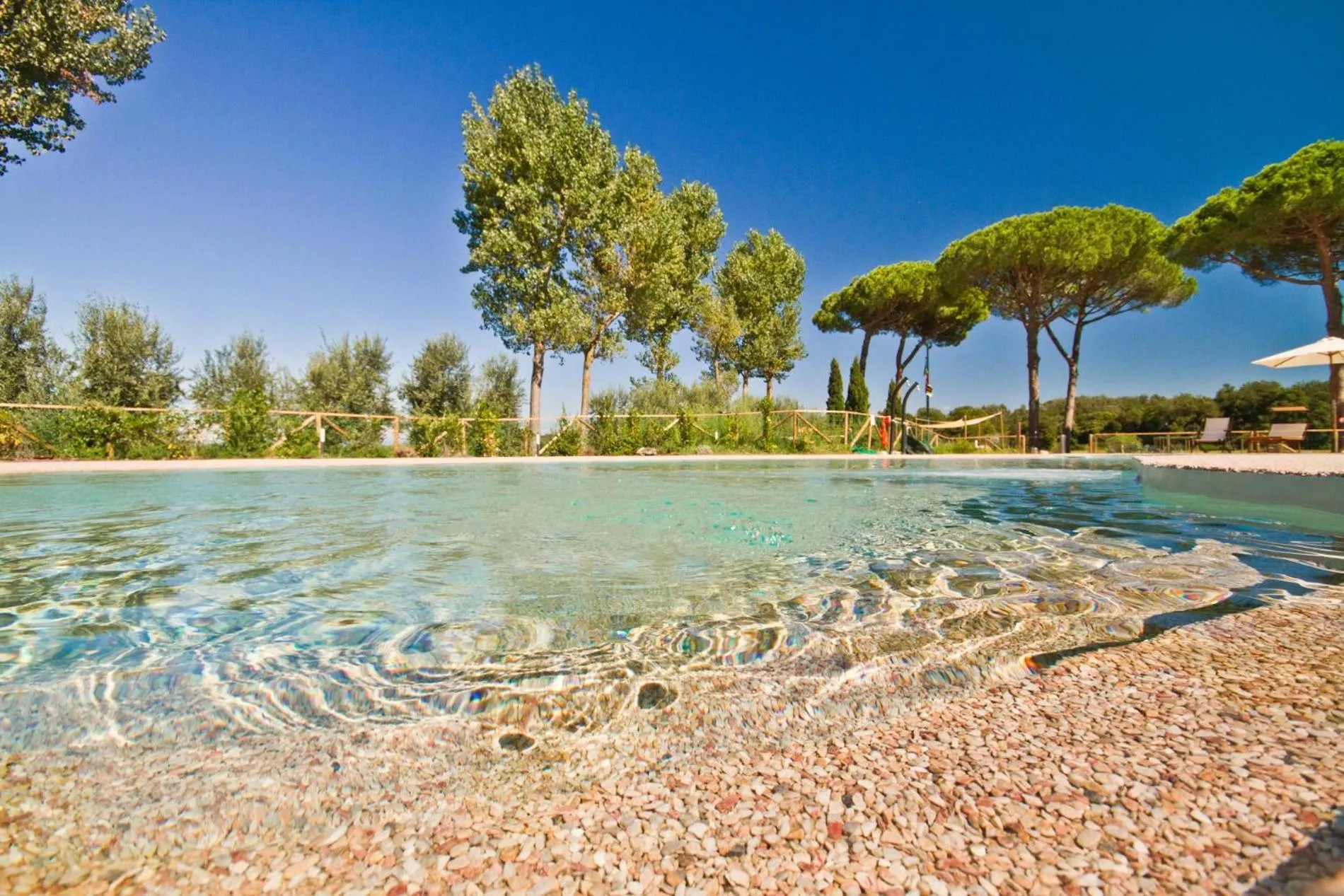 Swimming pool in La Fattoria di Tirrenia