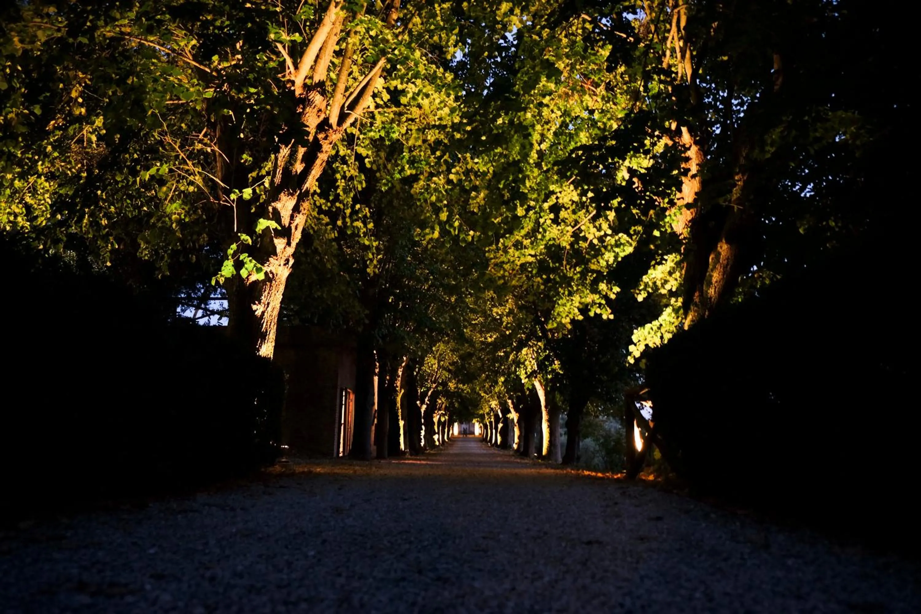 Garden in Borgo Colleoli Resort