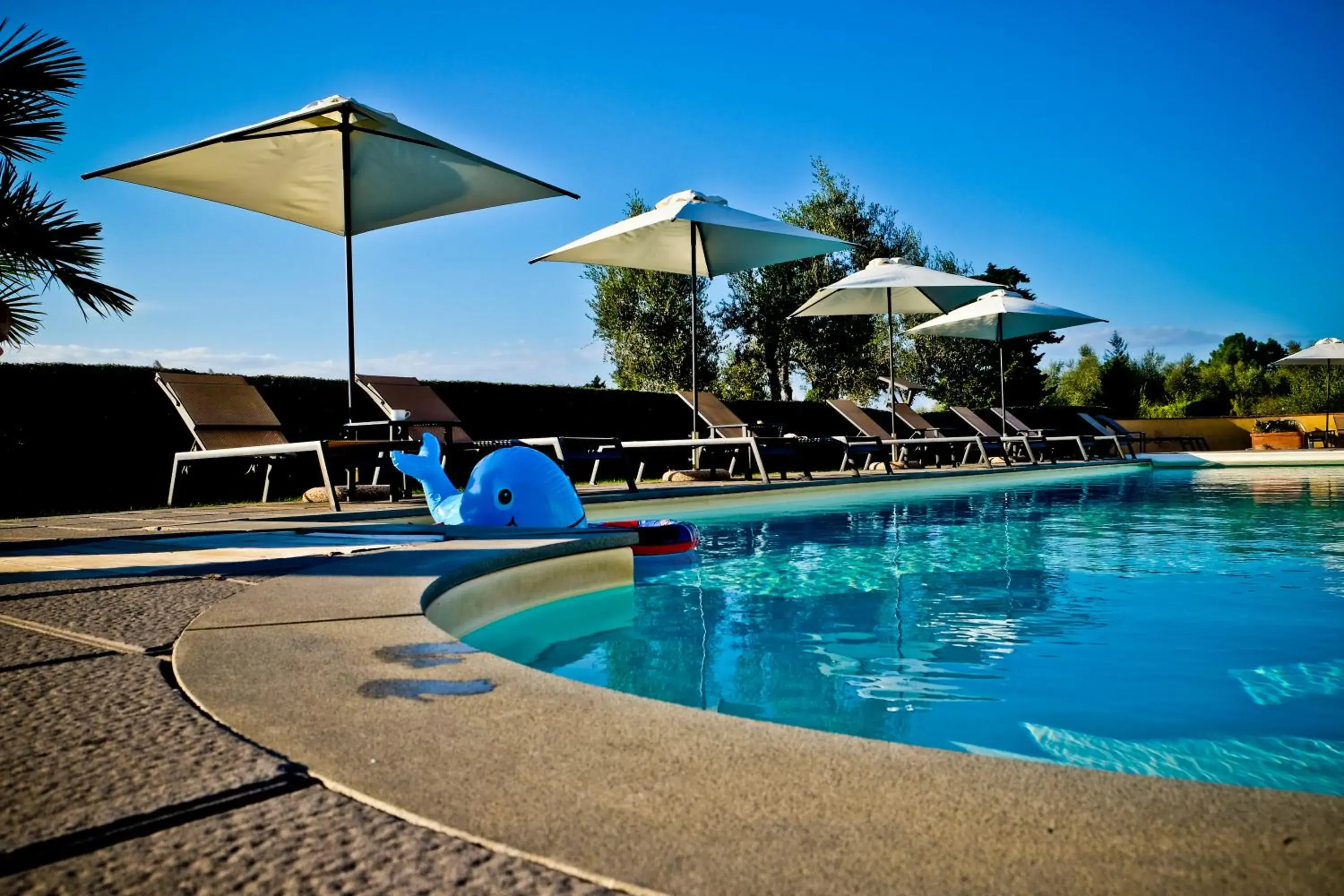 Swimming pool in Borgo Colleoli Resort Swimming pool in Borgo Colleoli Resort