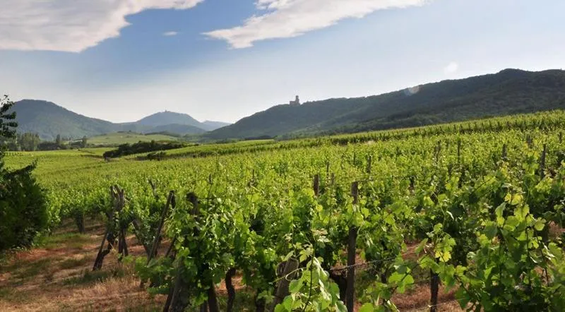 Nearby landmark in B&B bio new