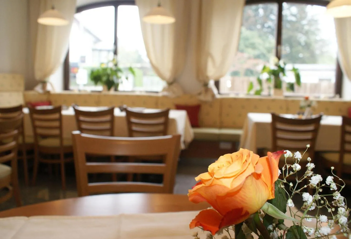 Restaurant/places to eat in Schillerhof Hotel GARNI