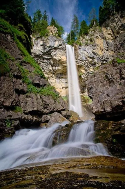Area and facilities in Schillerhof Hotel GARNI