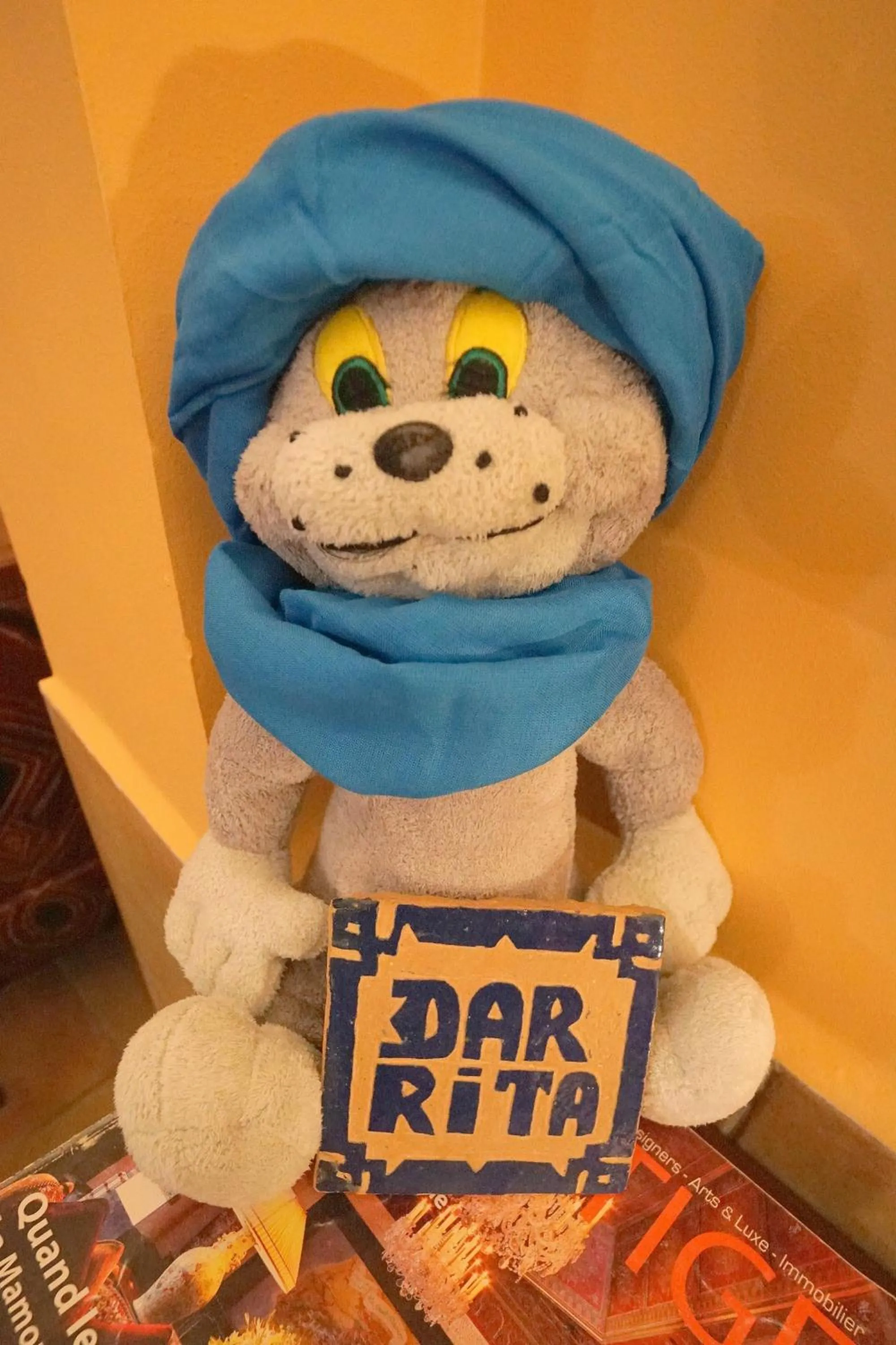 Pets in Riad Dar Rita