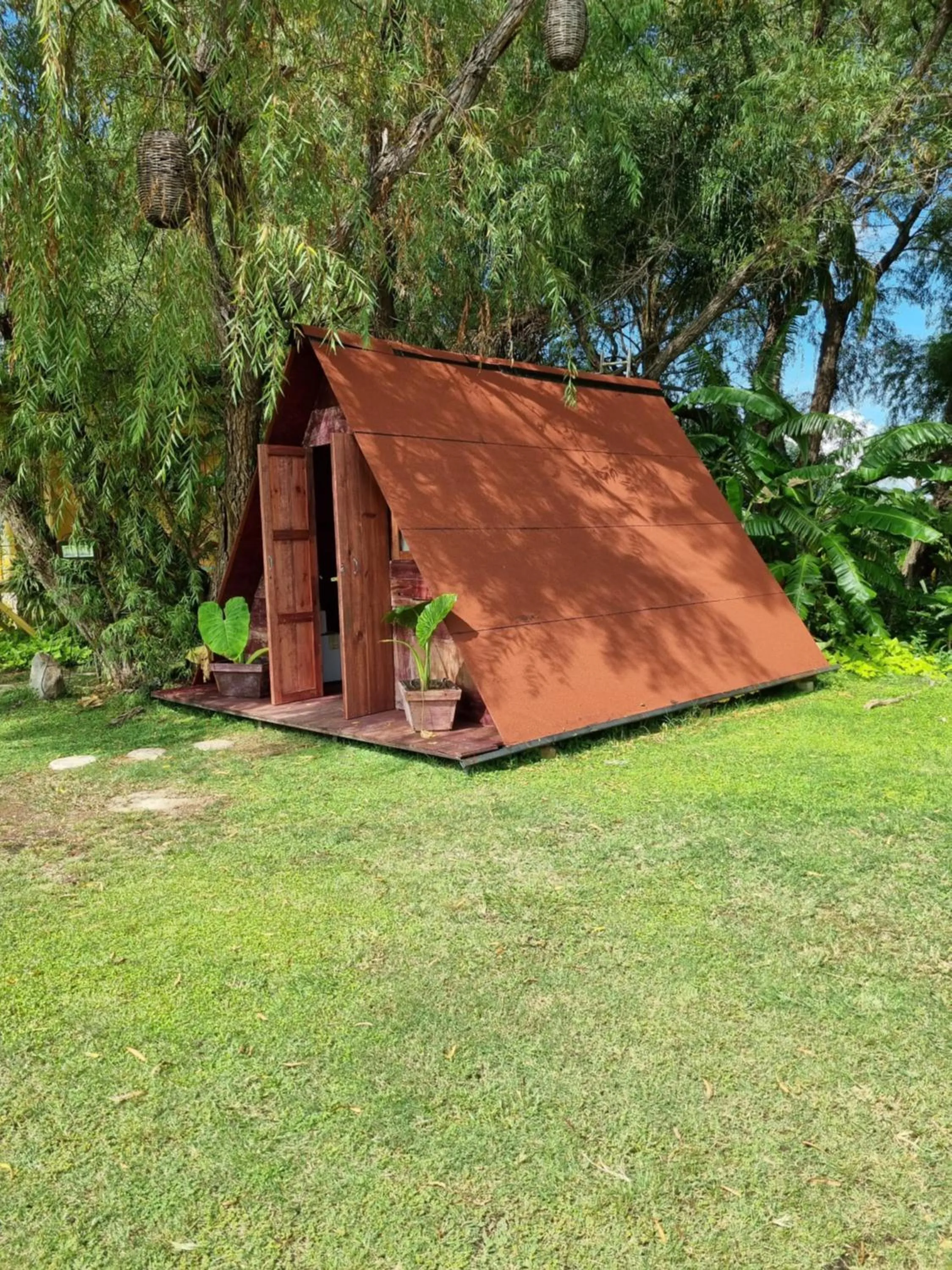 Garden in Eco Hotel Tahawi