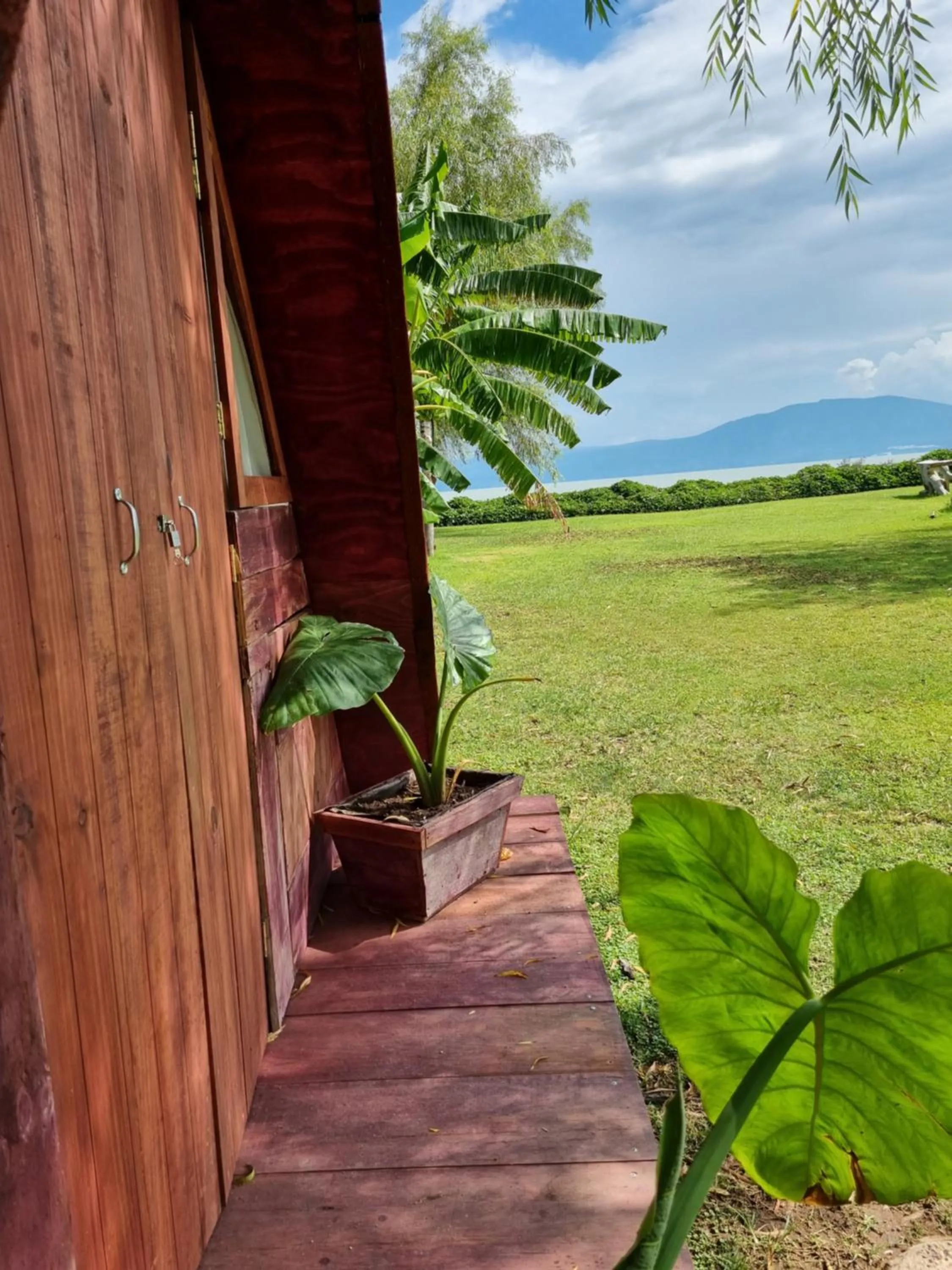 Garden view in Eco Hotel Tahawi