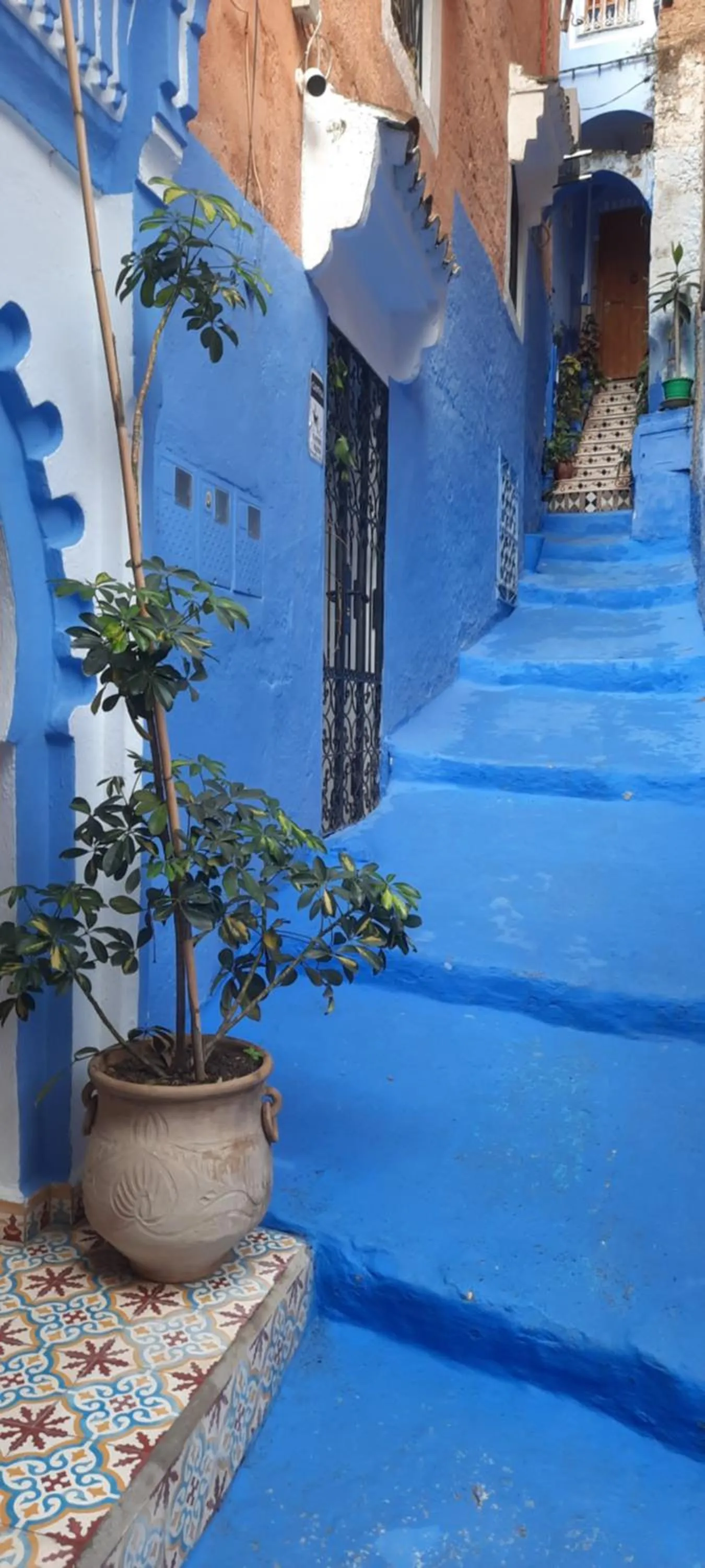 Street view in dar solaiman