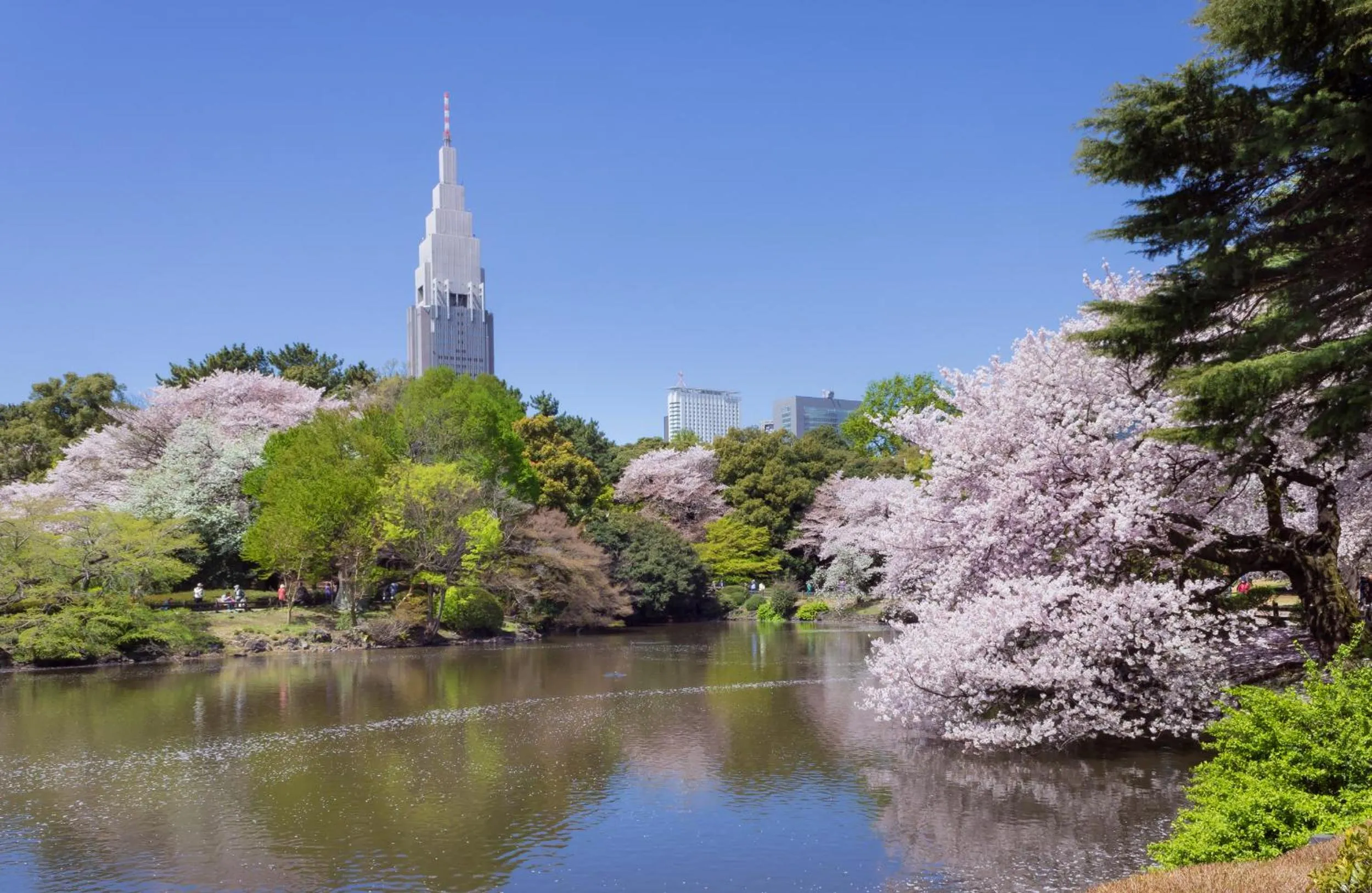 Nearby landmark in Sakura Cross Hotel Shinjuku East