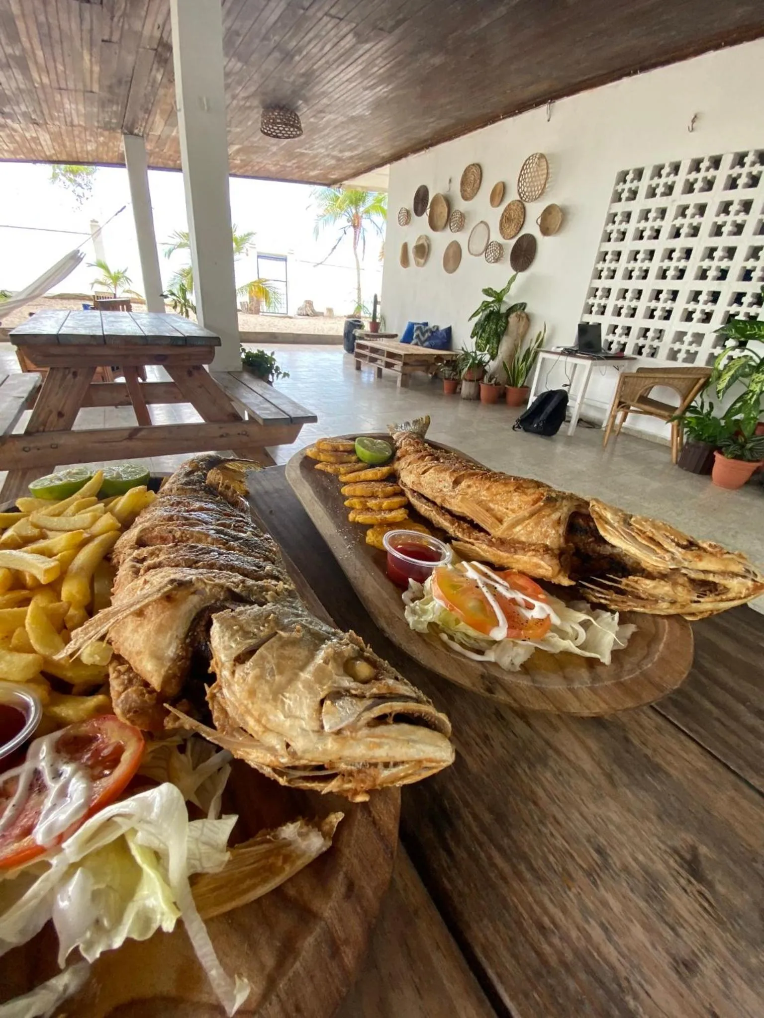 Restaurant/places to eat in Casa Greca