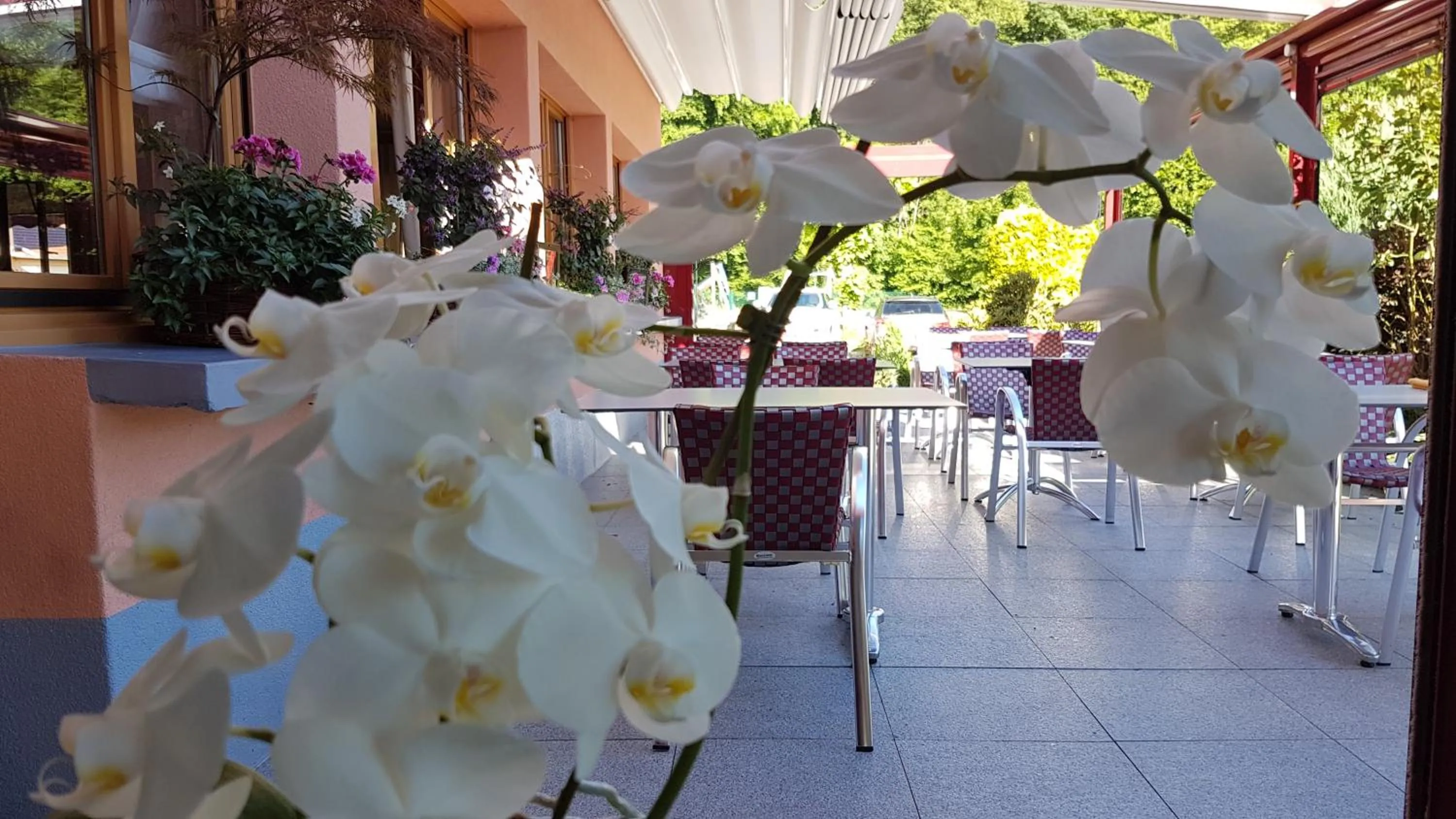 Le Rhien Hôtel-Restaurant