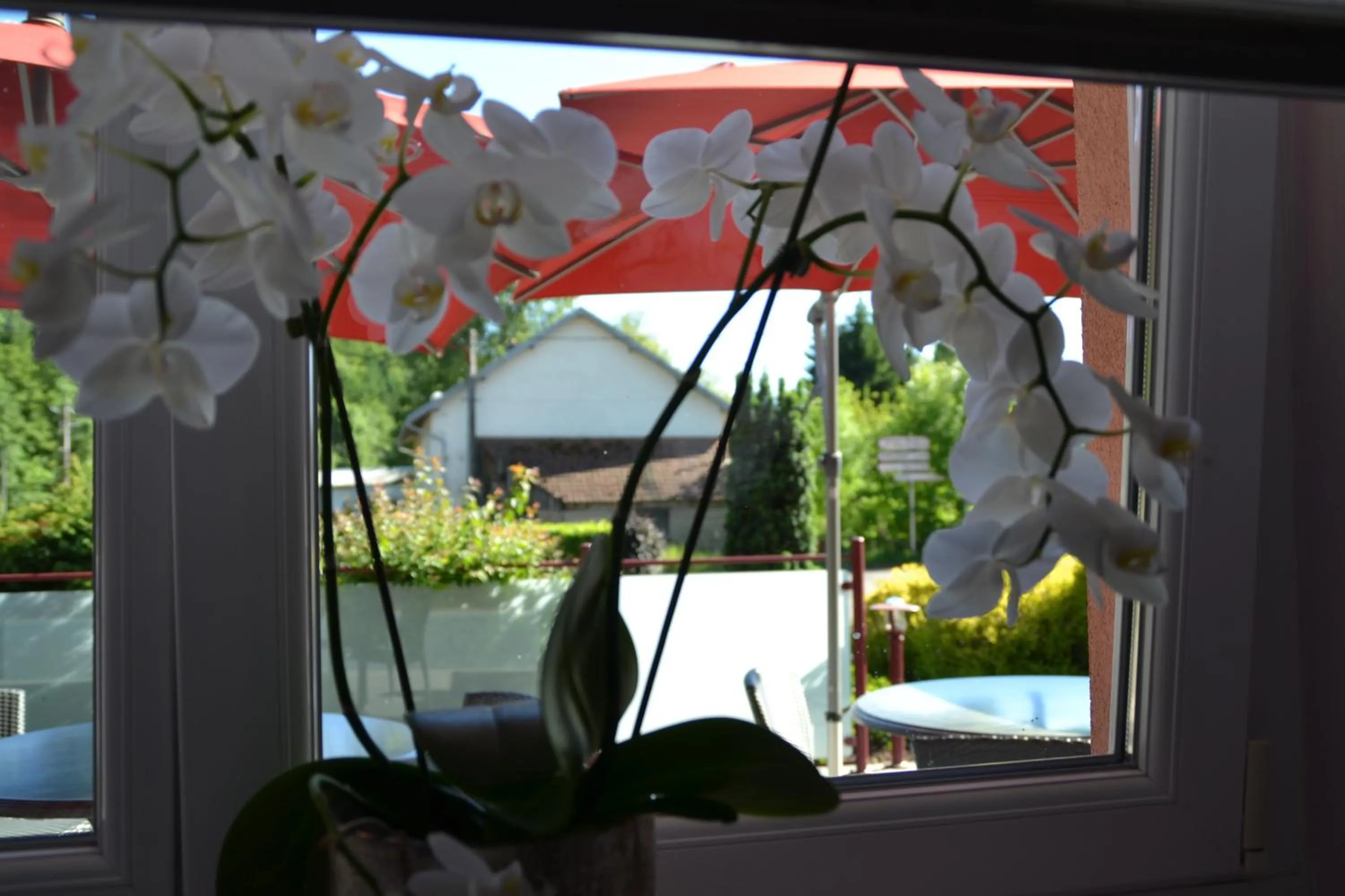 Le Rhien Hôtel-Restaurant