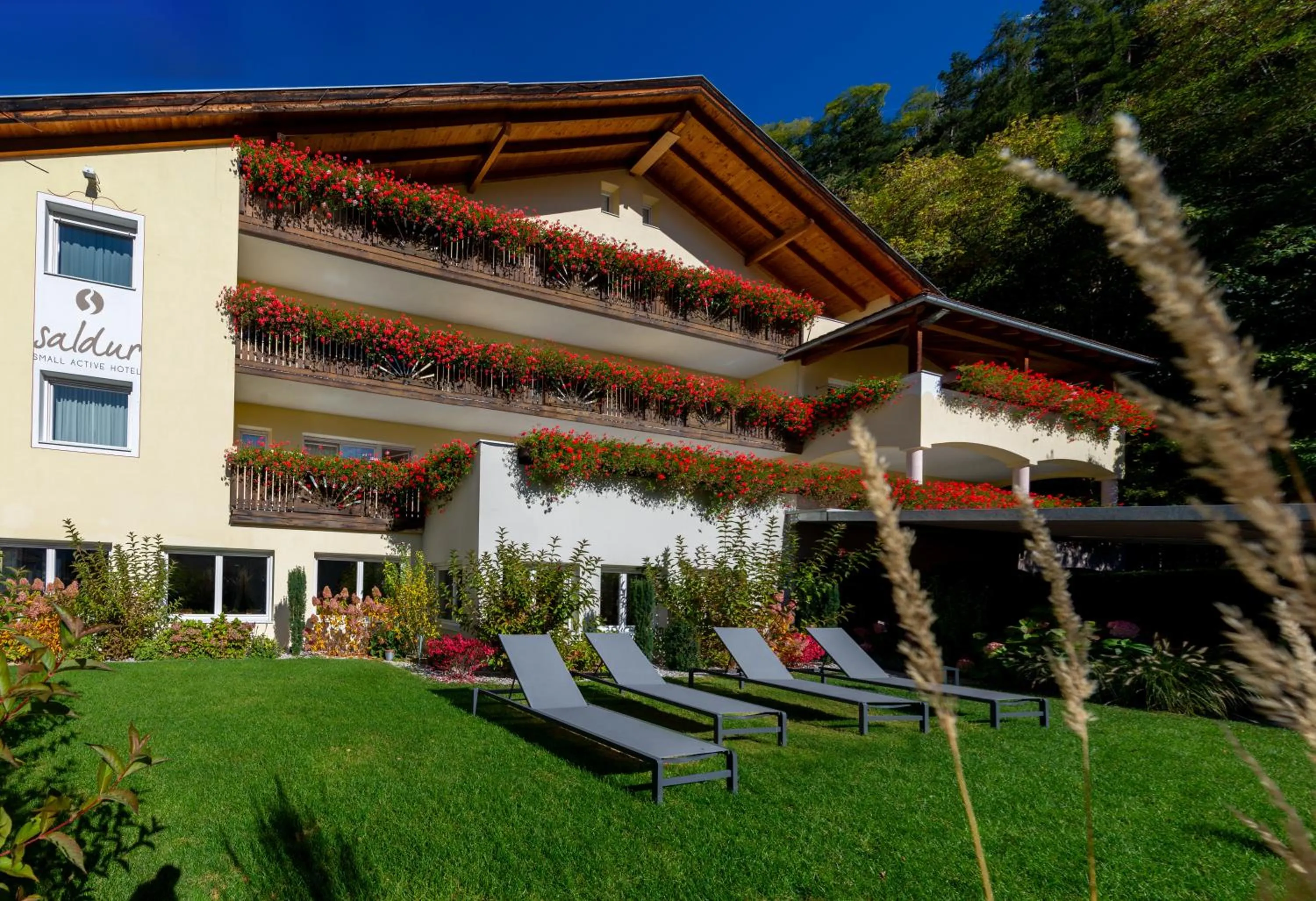 Saldur Small Active Hotel