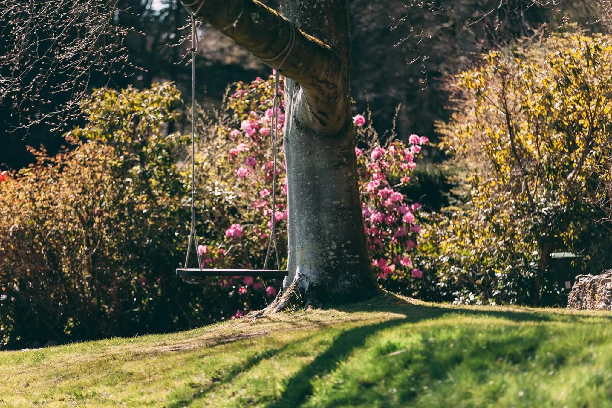 Garden in Château Rhianfa