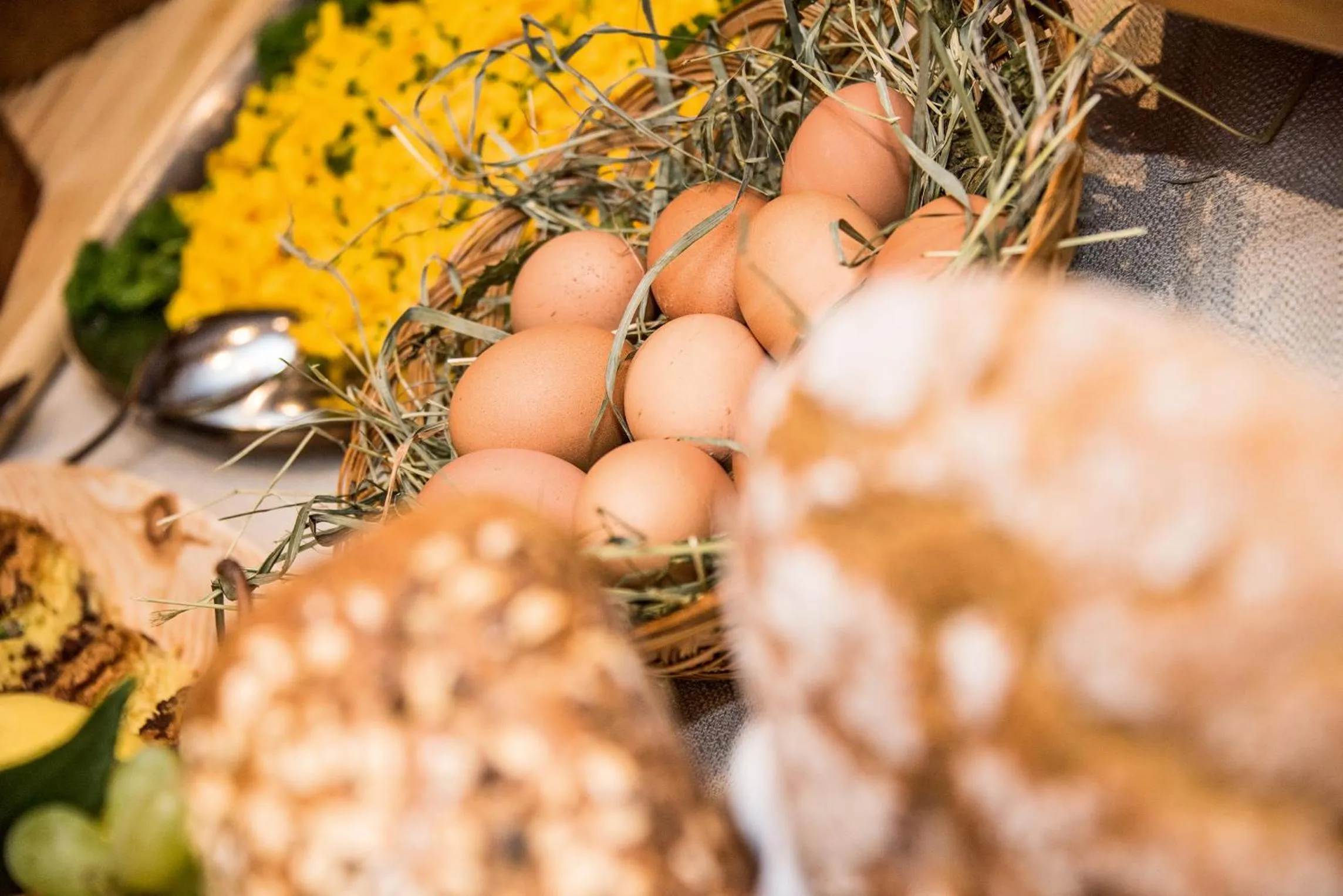 Food close-up in Vitaurina Royal Hotel