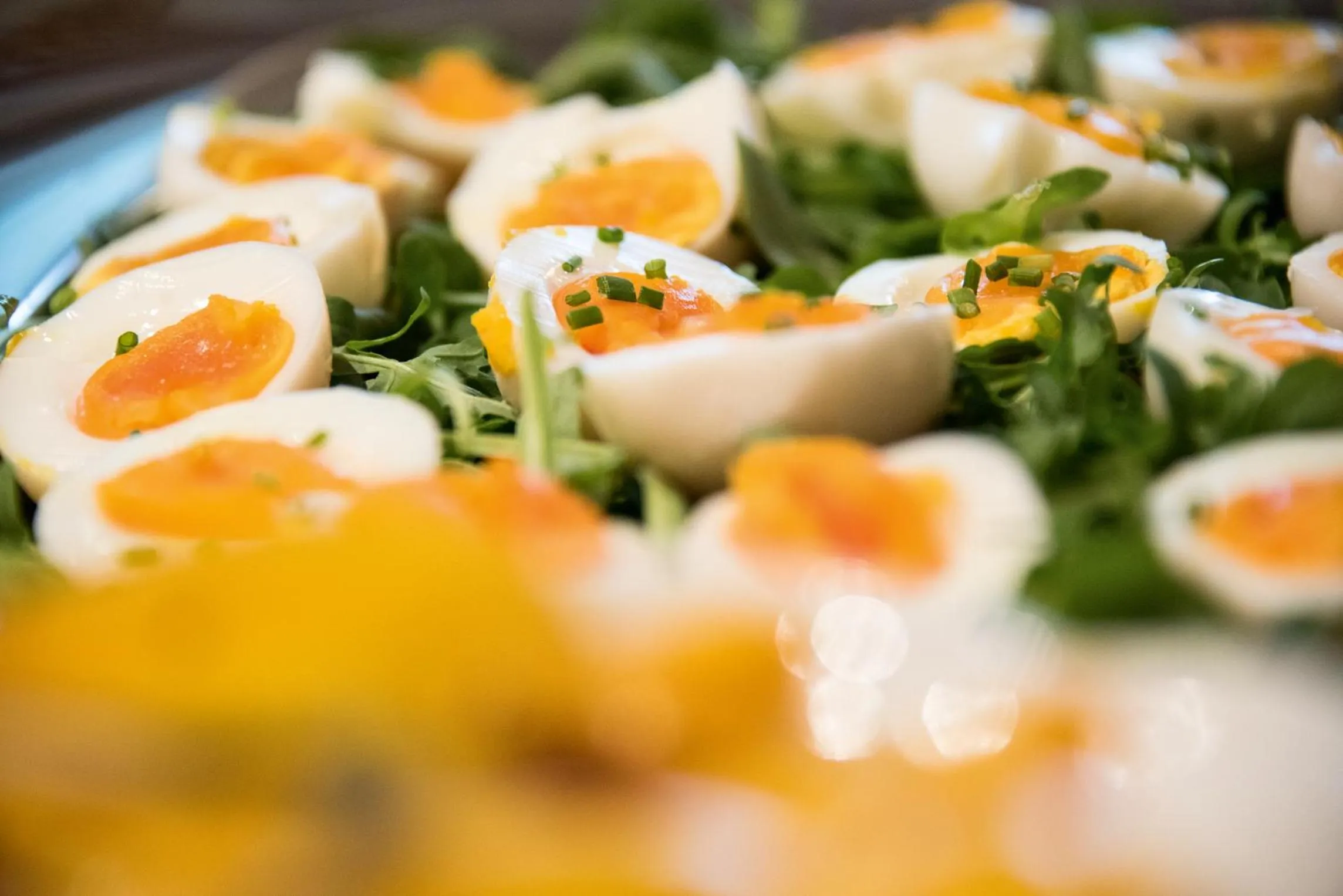 Food close-up in Vitaurina Royal Hotel