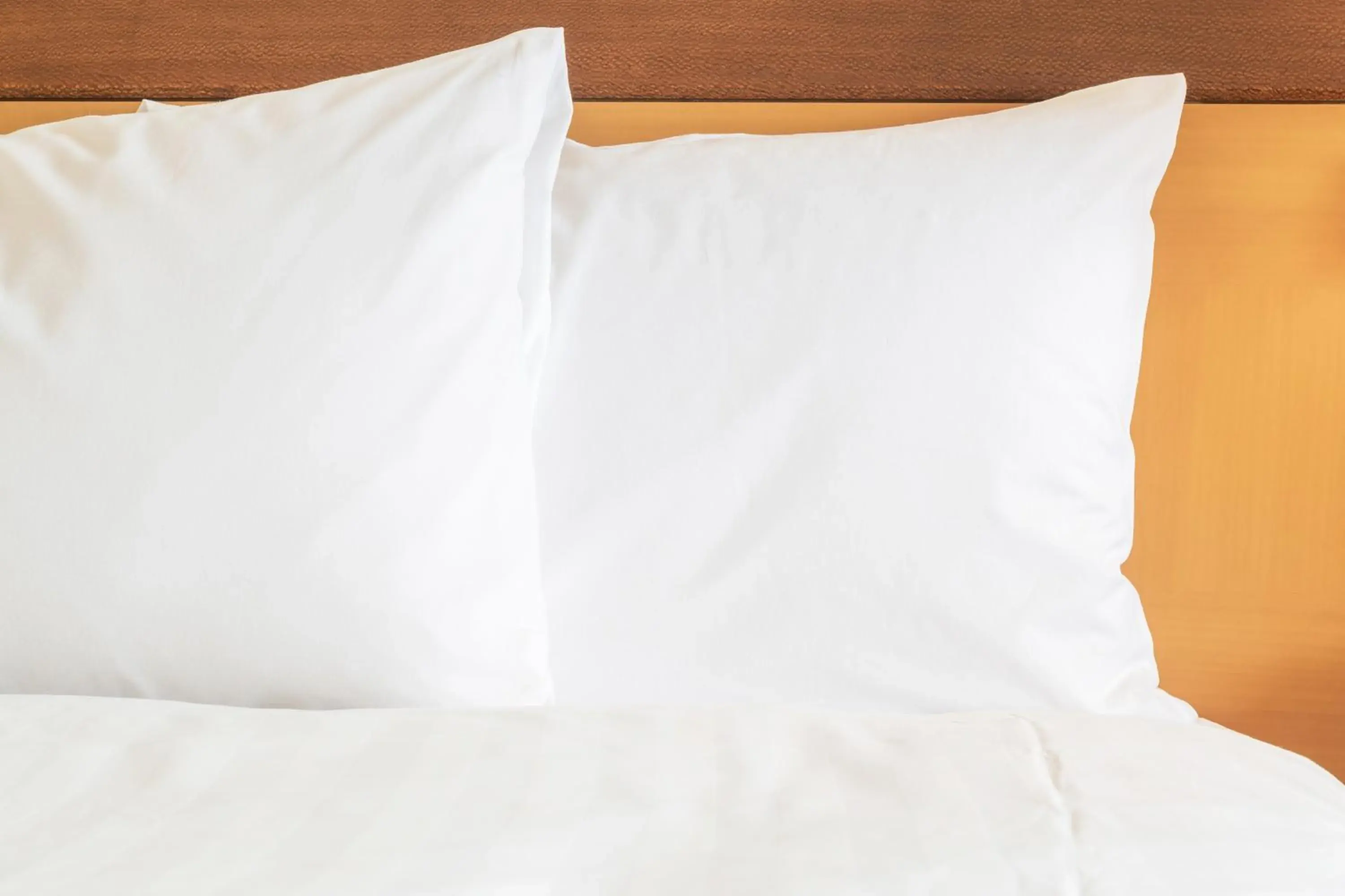 Standard Room in Hotel Indigo Atlanta Airport College Park by IHG Standard Room in Hotel Indigo Atlanta Airport College Park by IHG