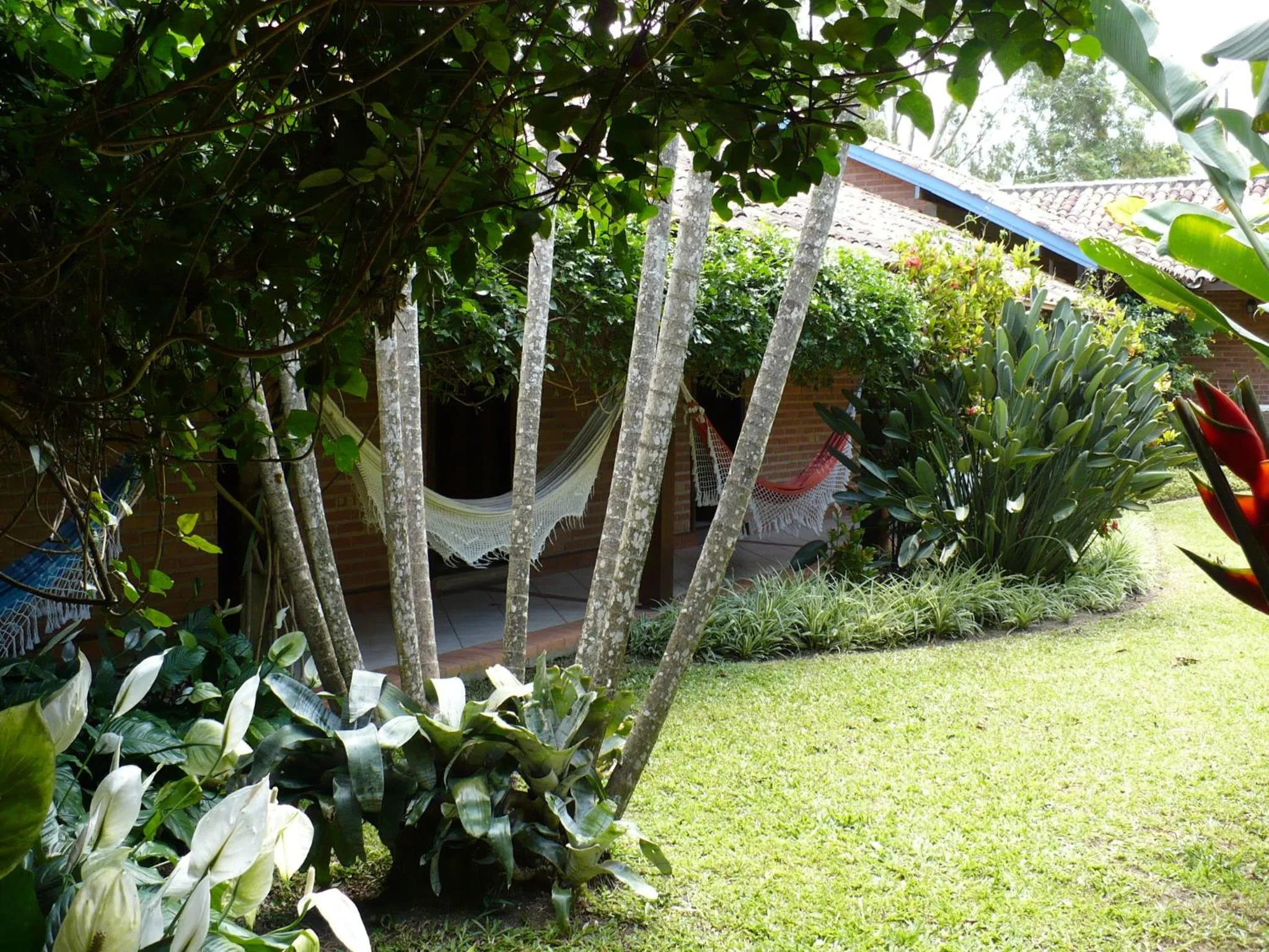 Garden in Hotel Pousada da Lagoa - Casa Californiana