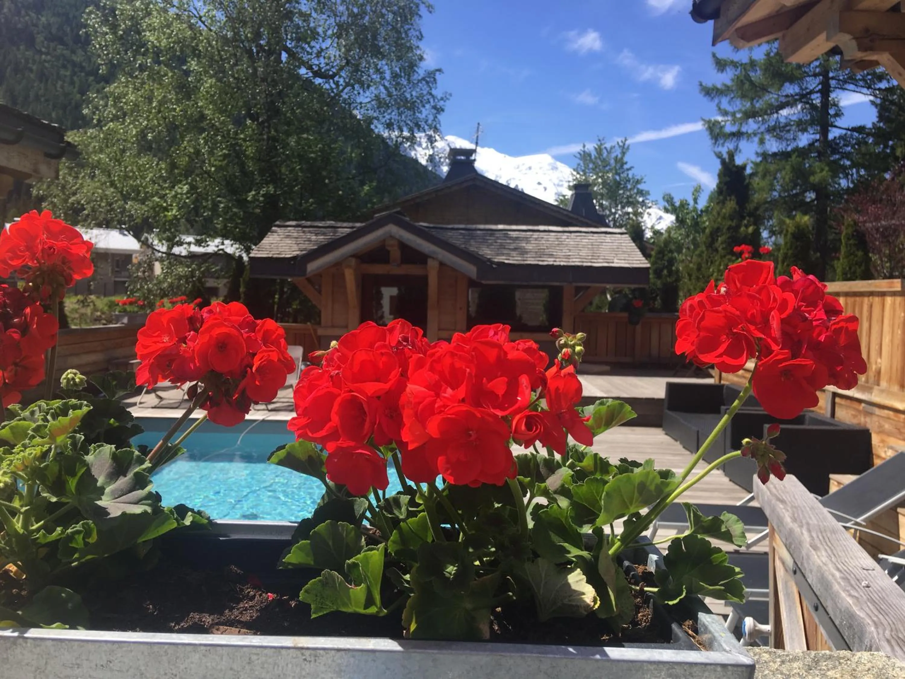 Spring in Les Rives d'Argentière