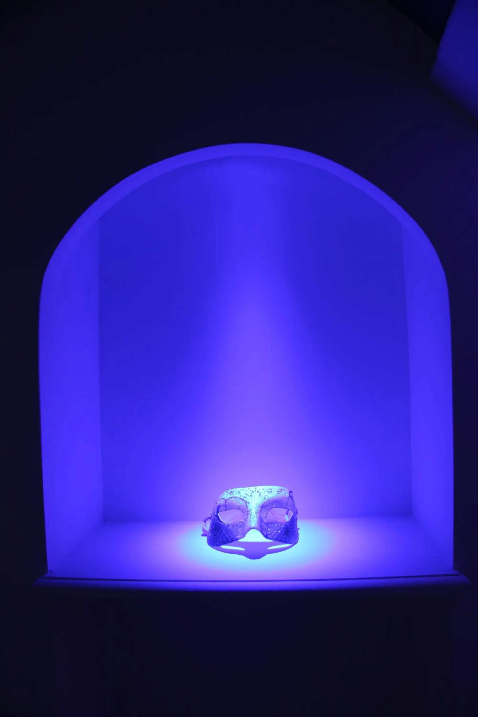 Decorative detail in L'Hibernie