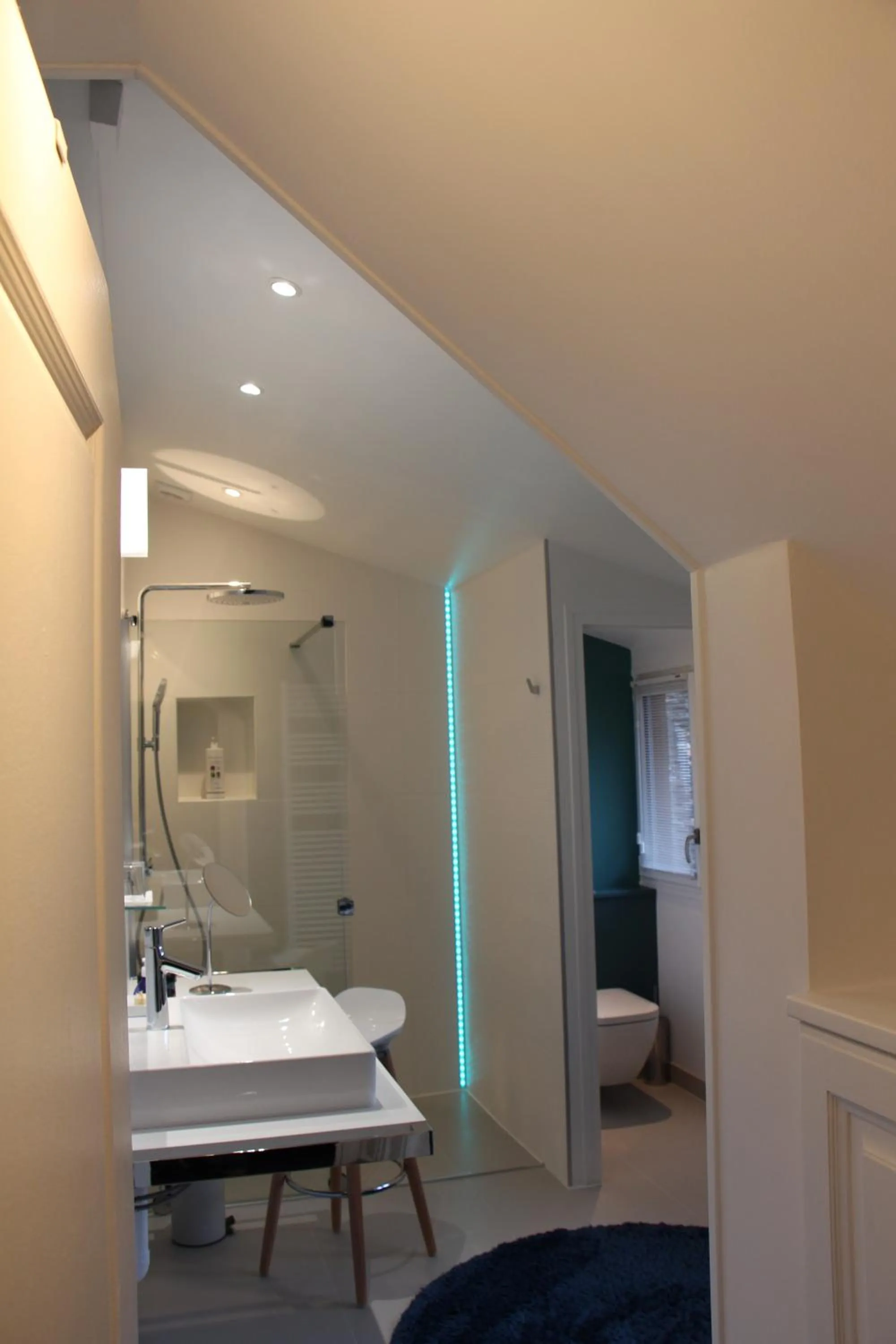 Bathroom in L'Hibernie