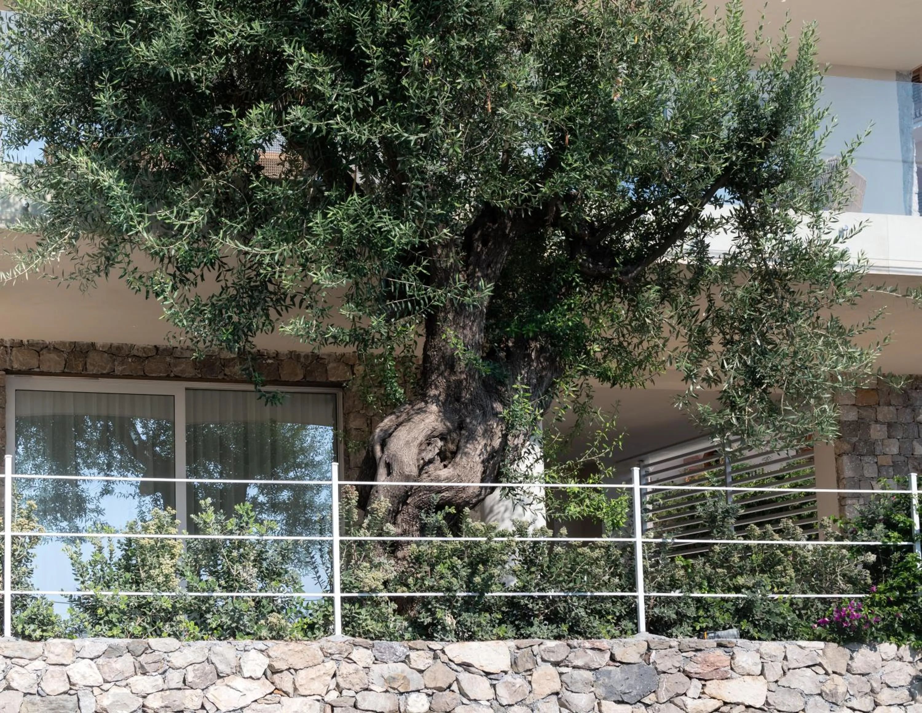 Property building in Iancu Charme Apartments