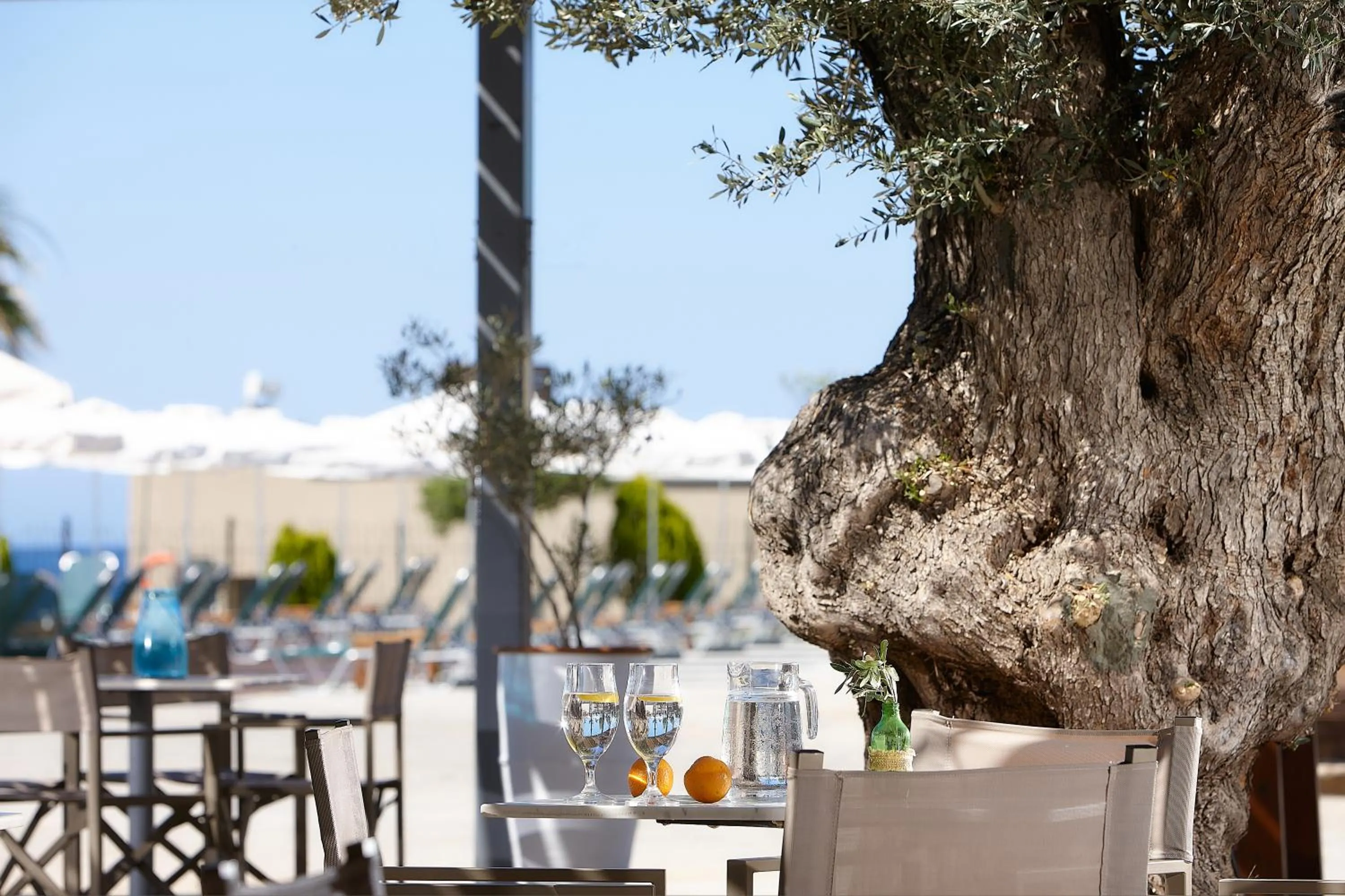 Lounge or bar in Arminda Hotel & Spa