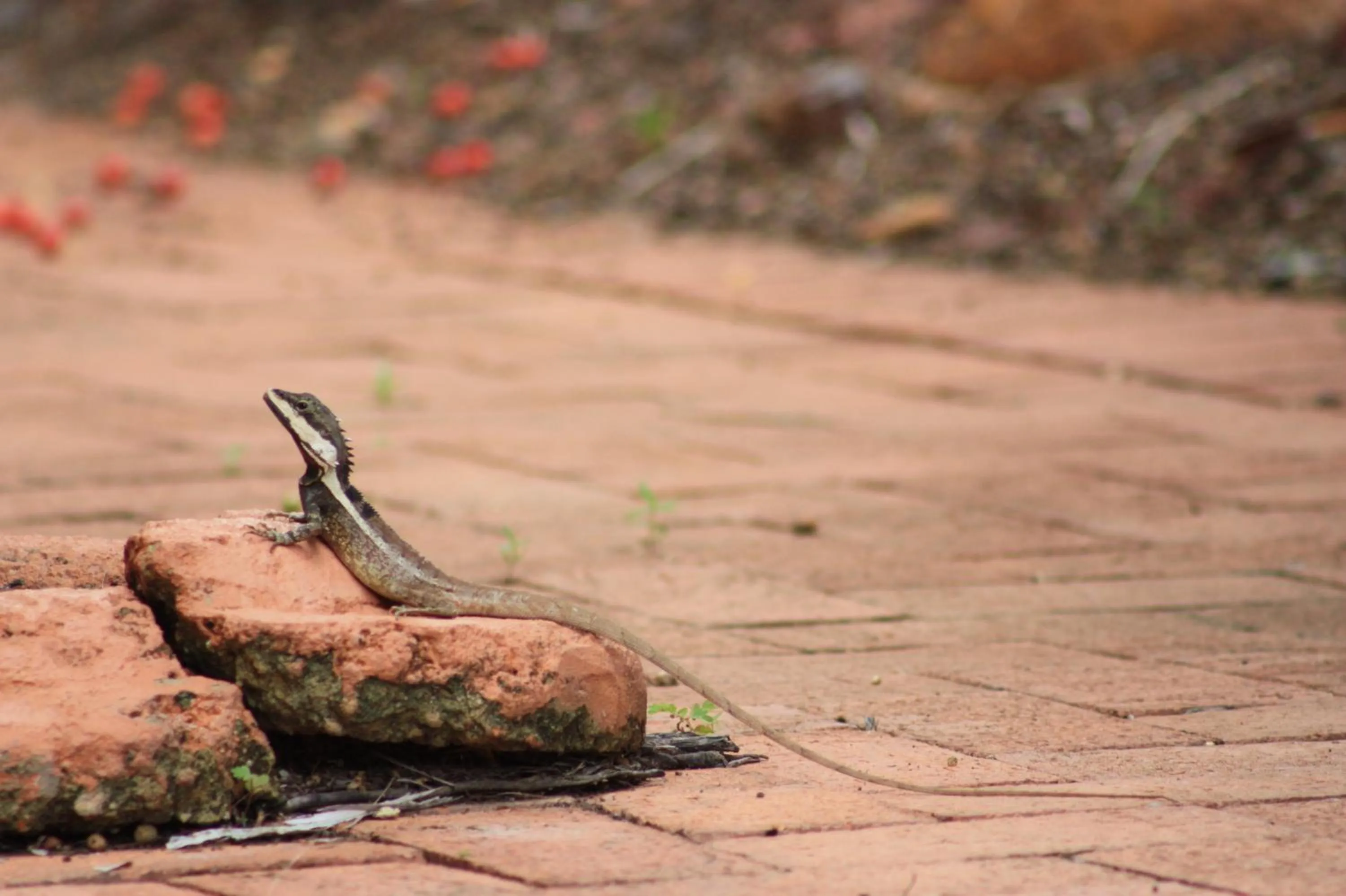Other in Coconut Grove Holiday Apartments