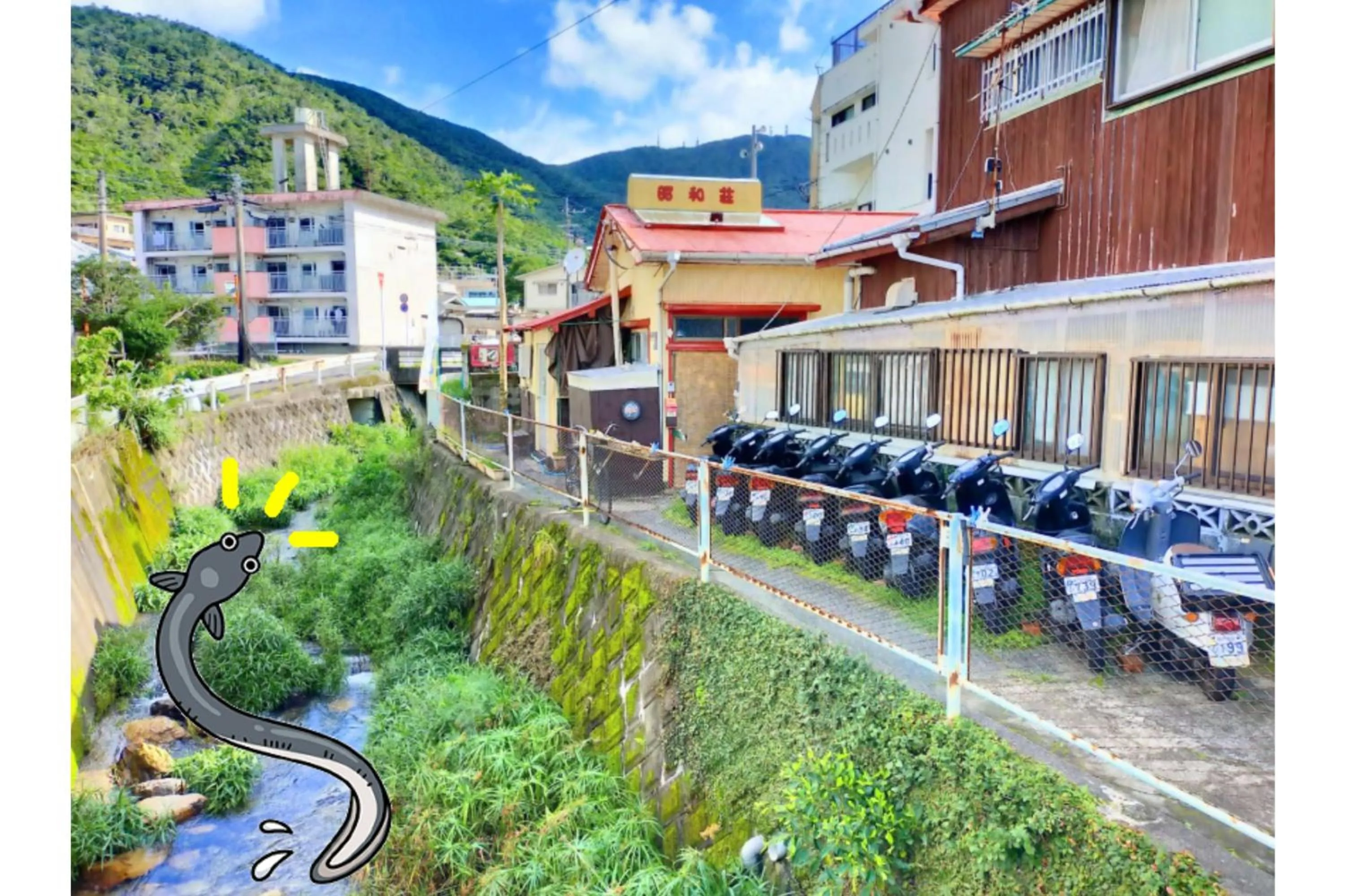 Property building in Amami Guest House showa-so