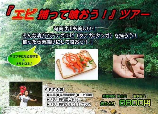 Activities in Amami Guest House showa-so