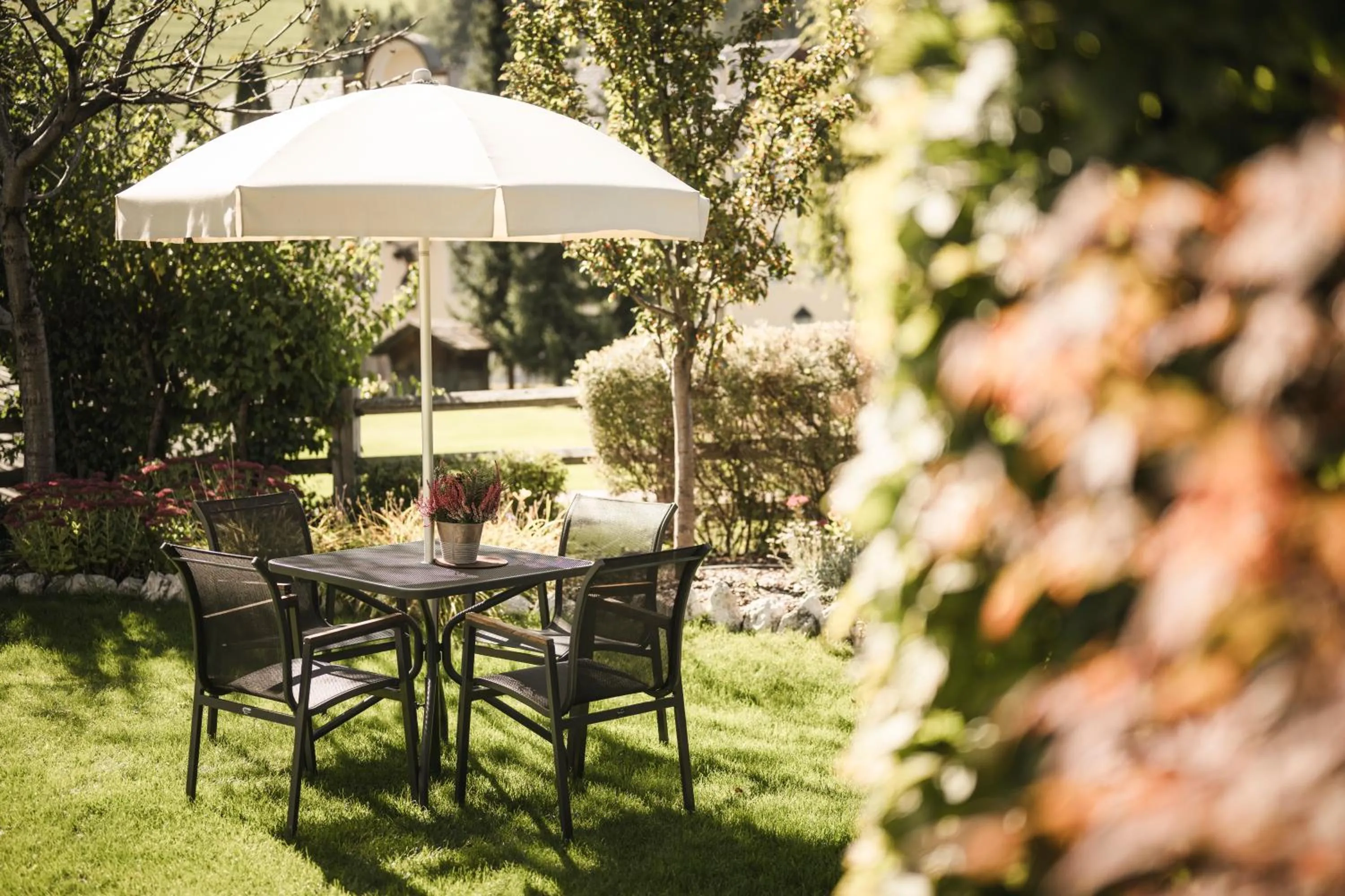 Garden in B&B Villa Angelino