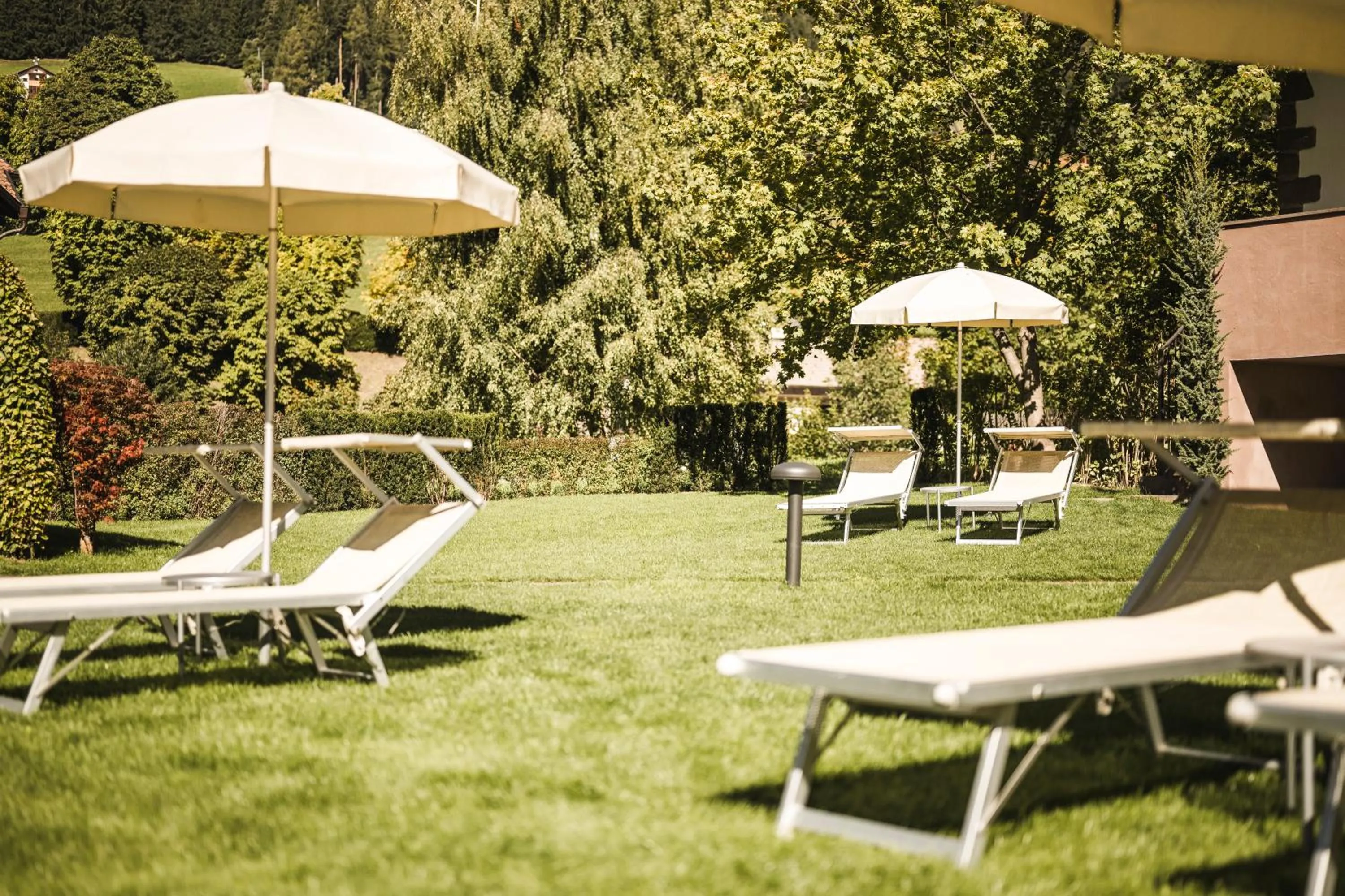 Garden in B&B Villa Angelino