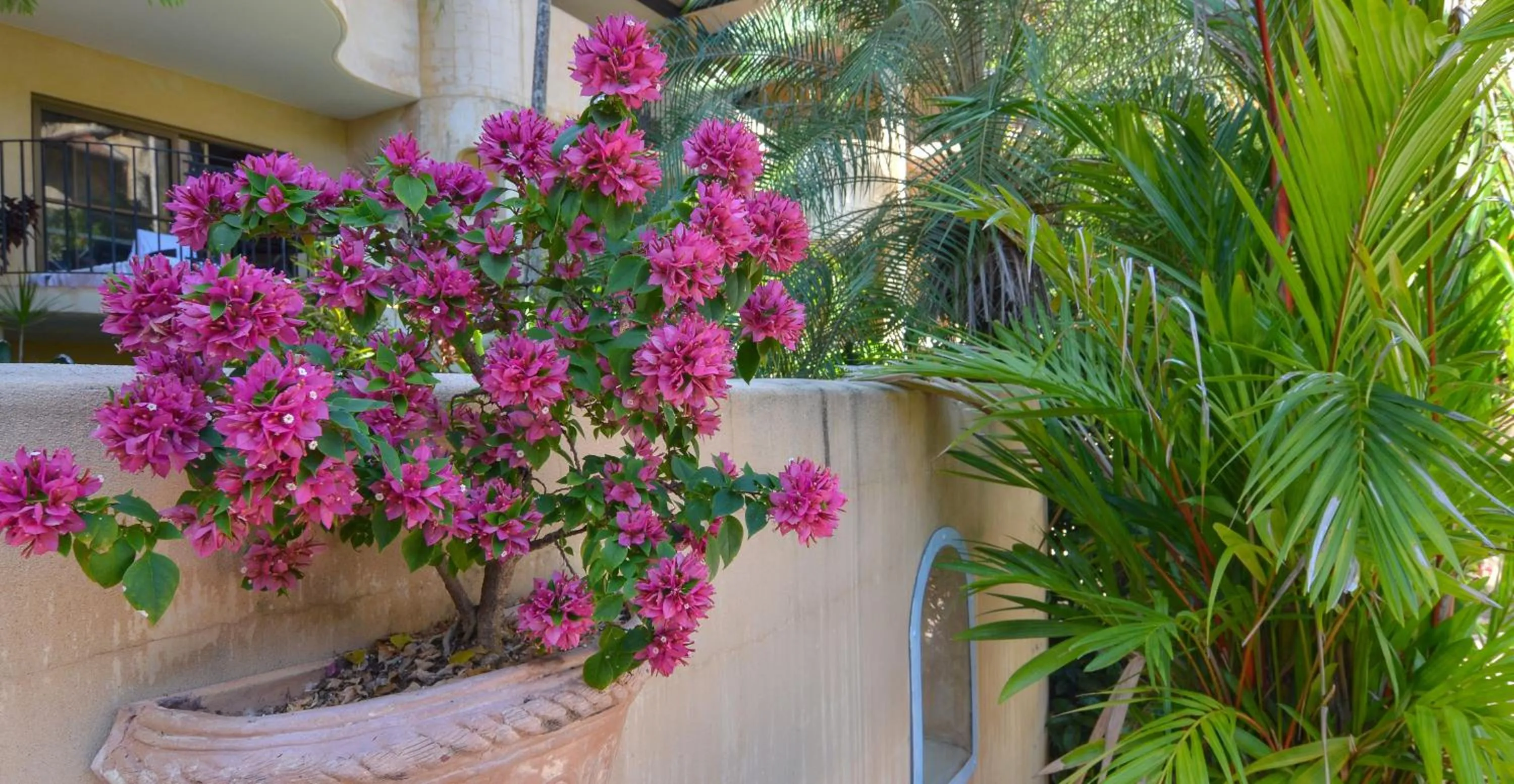 Garden in Villa San Michele (Official)