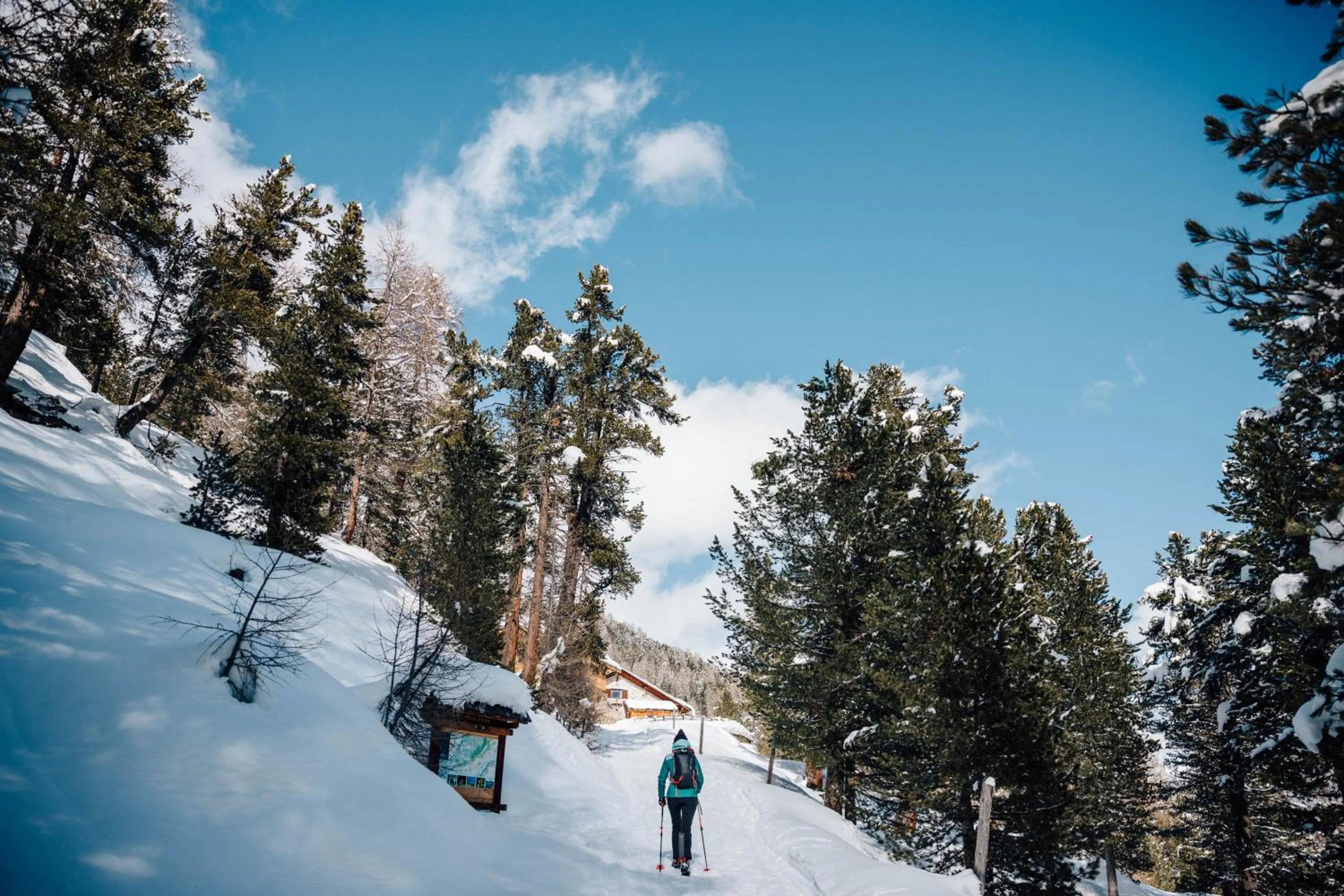 Winter in Residence Montani