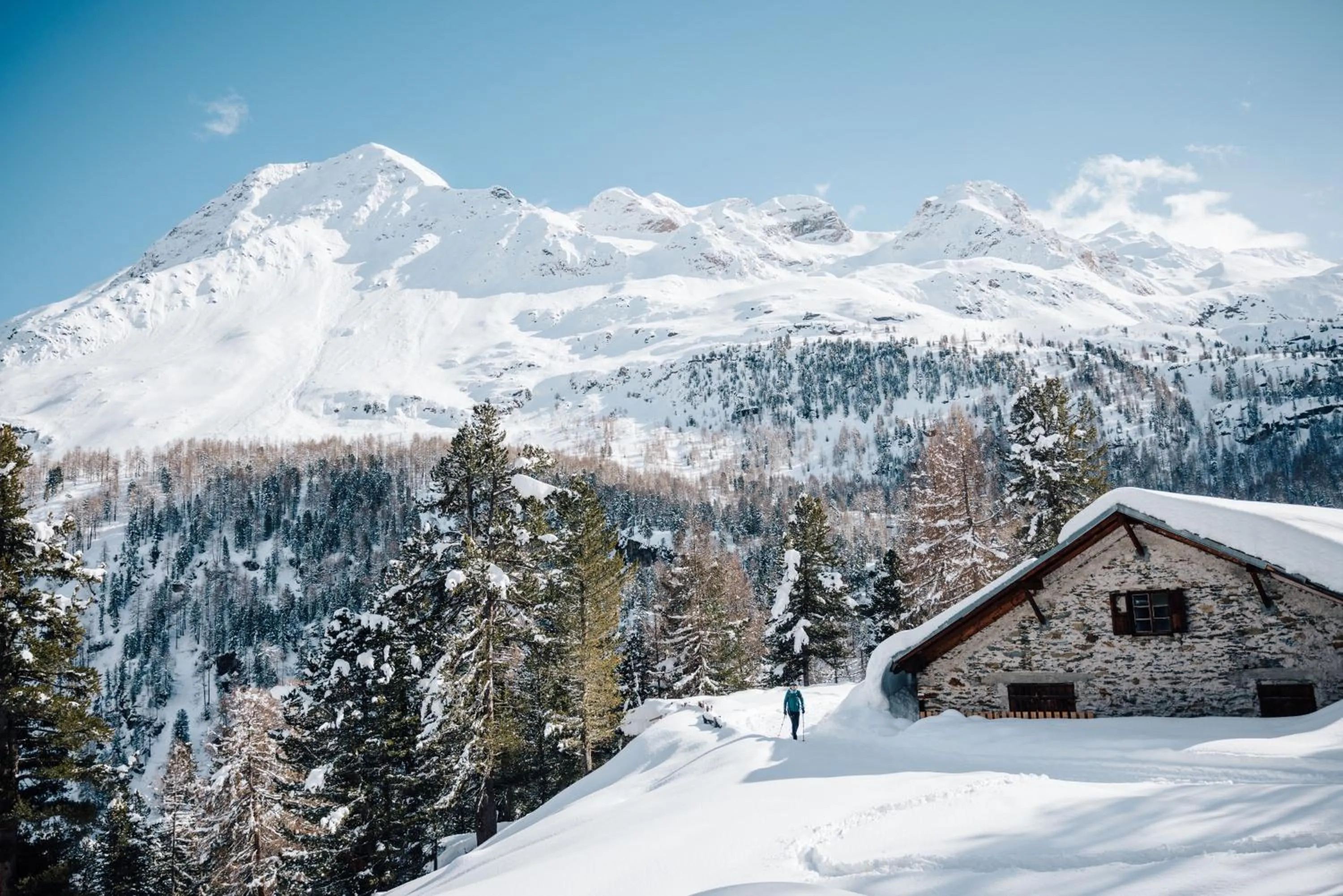 Winter in Residence Montani