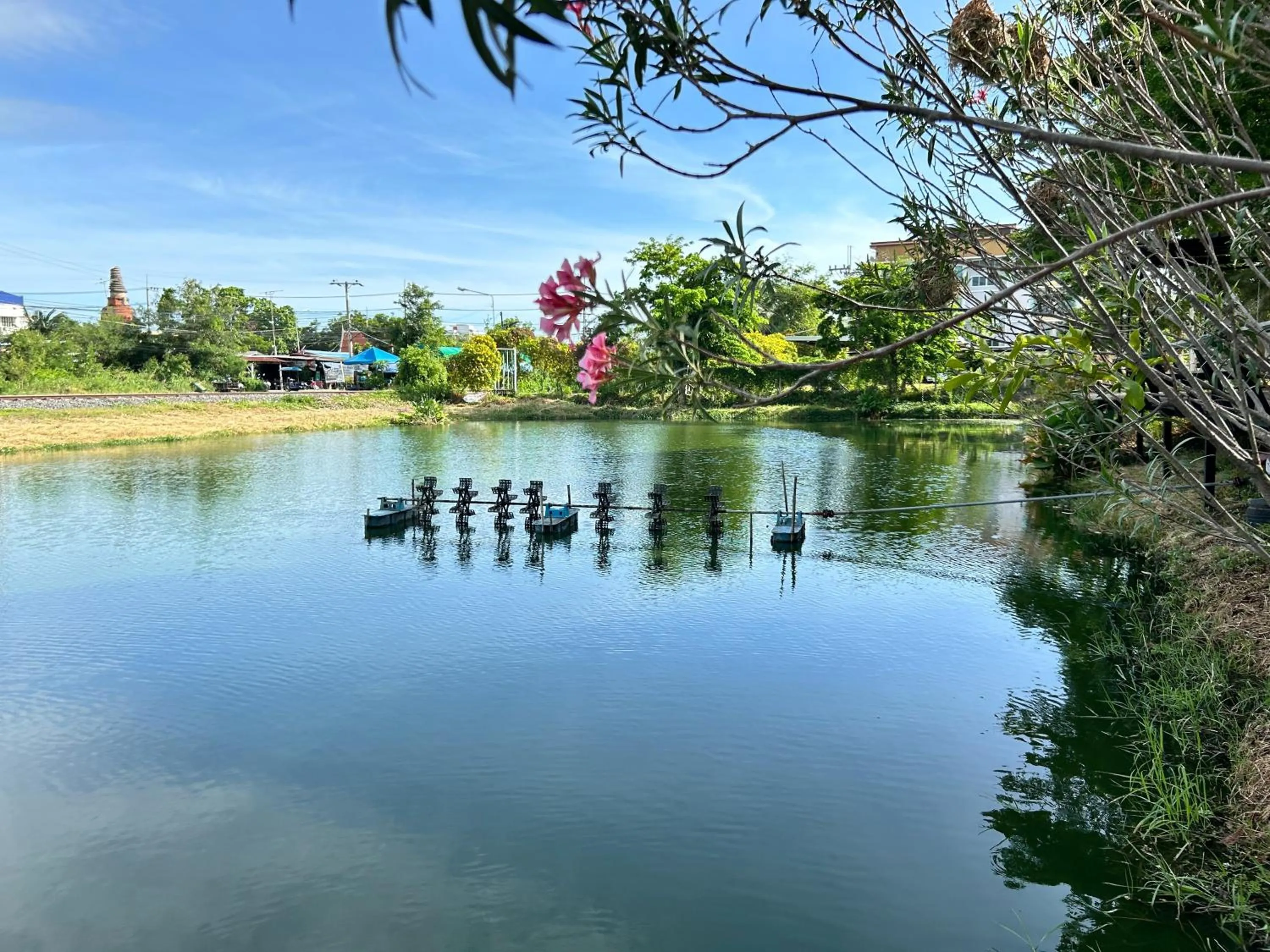 Natural landscape in DD Boutique Resort