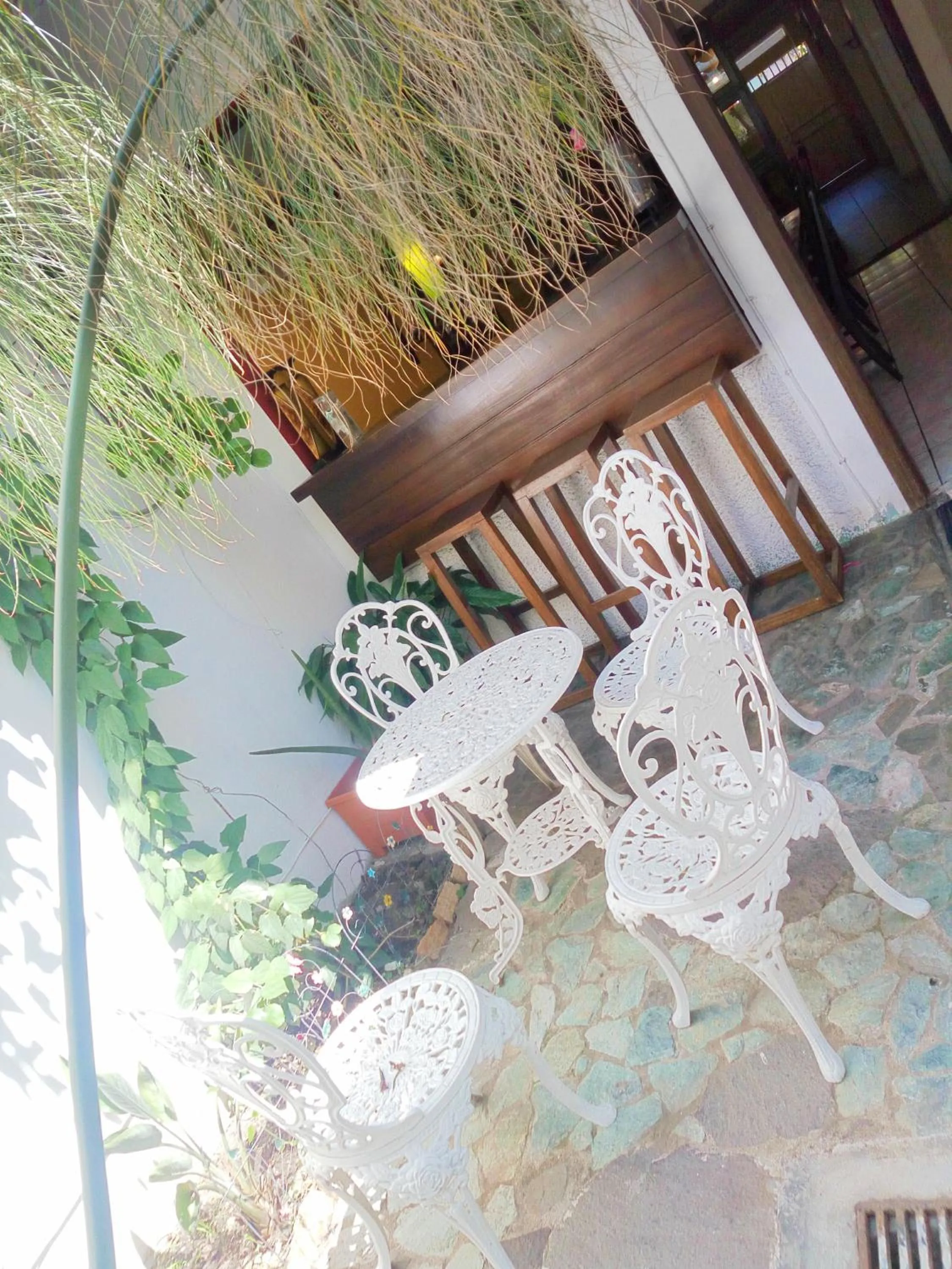 Area and facilities in Hotel Tazumal House