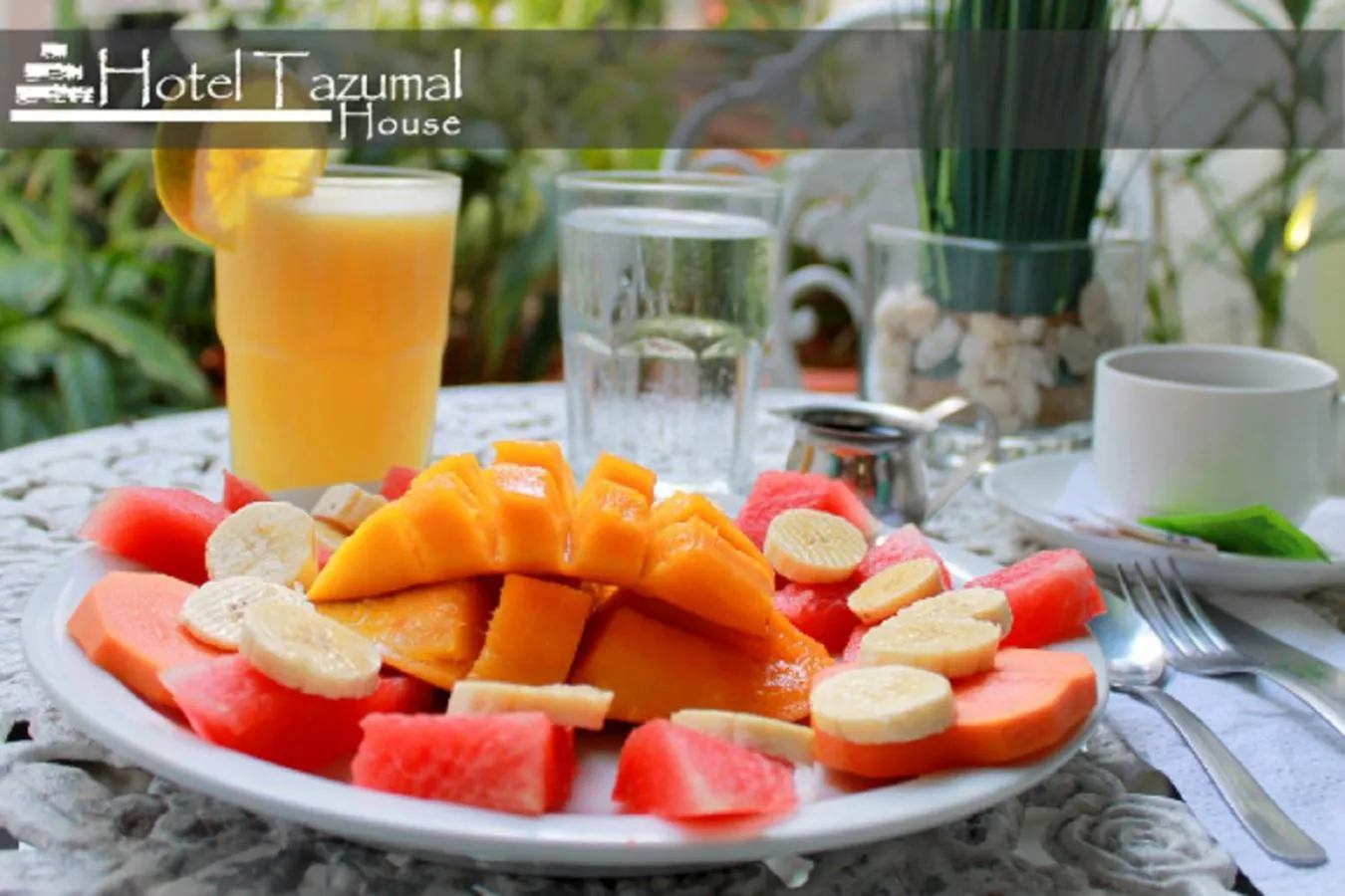 Food and drinks in Hotel Tazumal House