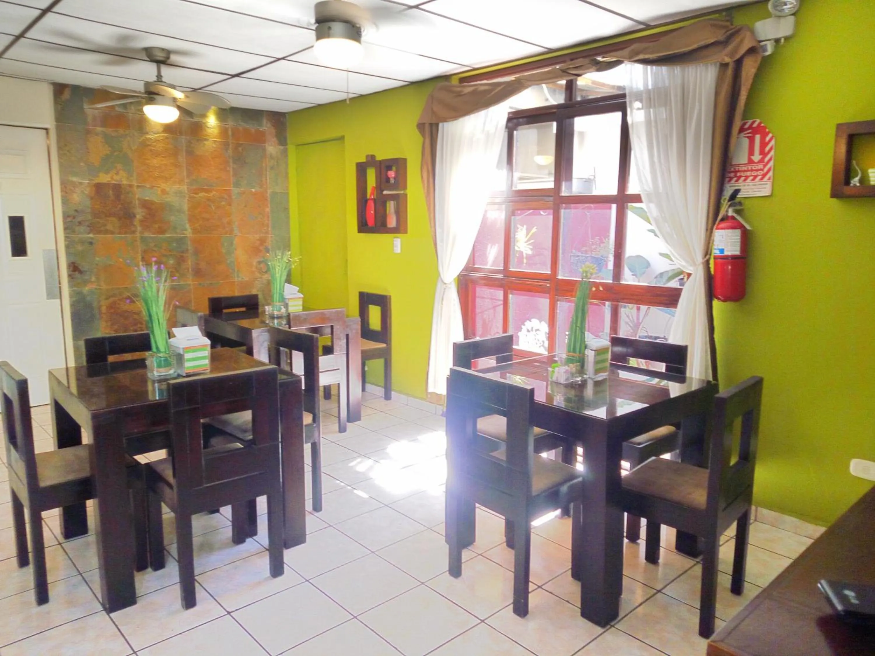 Area and facilities in Hotel Tazumal House