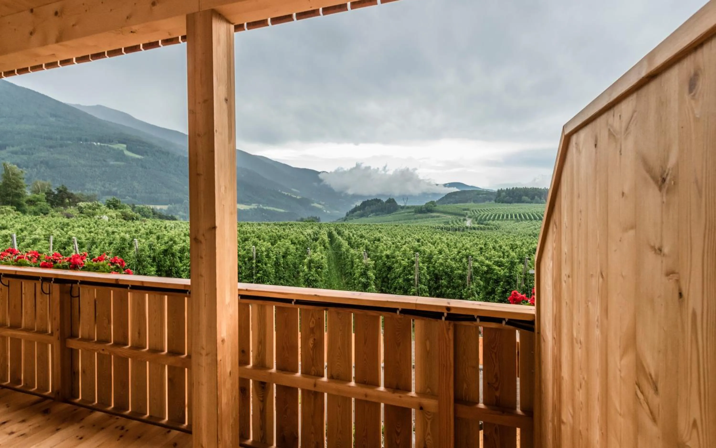 Balcony/Terrace in Hotel Jonathan