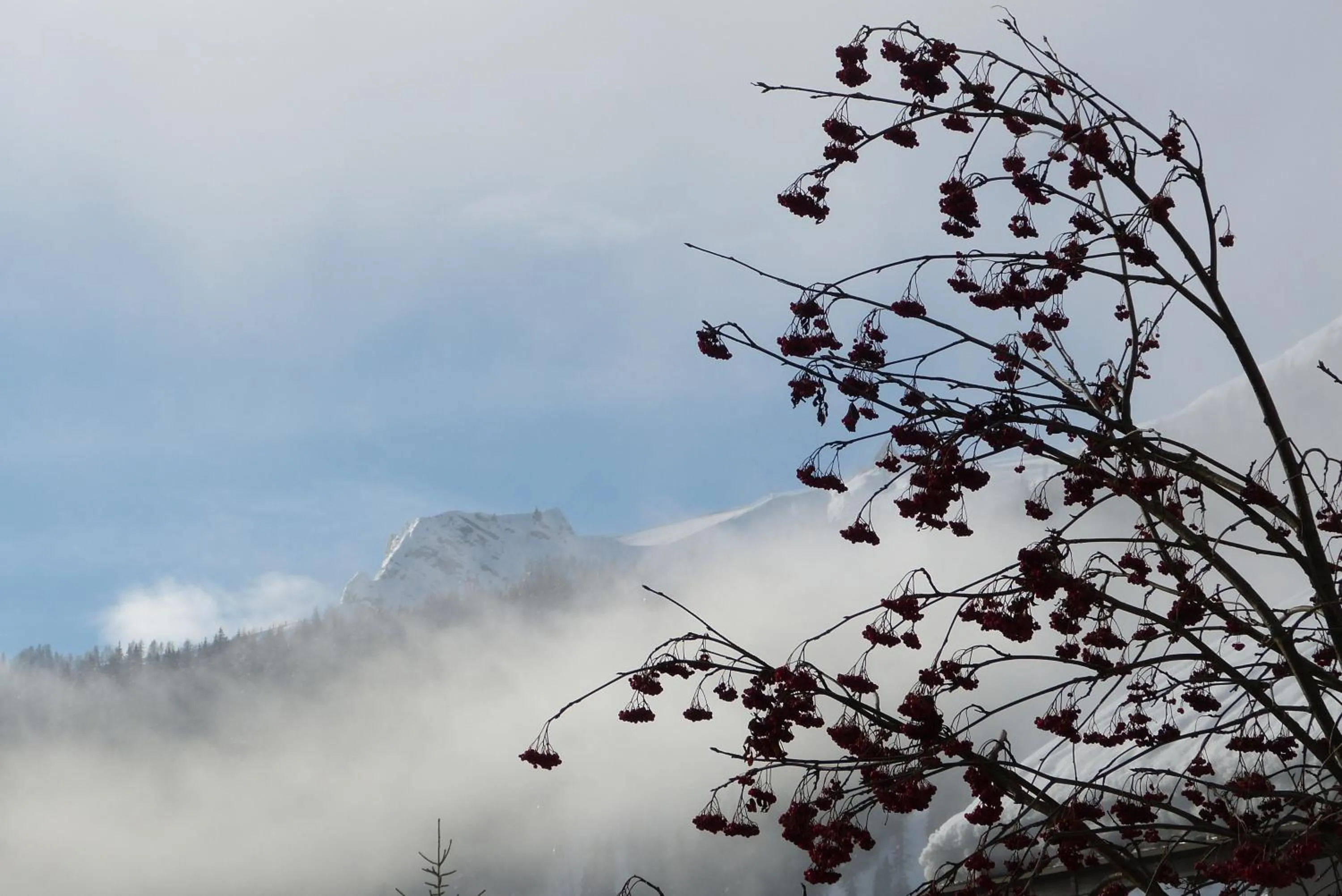 Natural landscape in Ciasa Roch