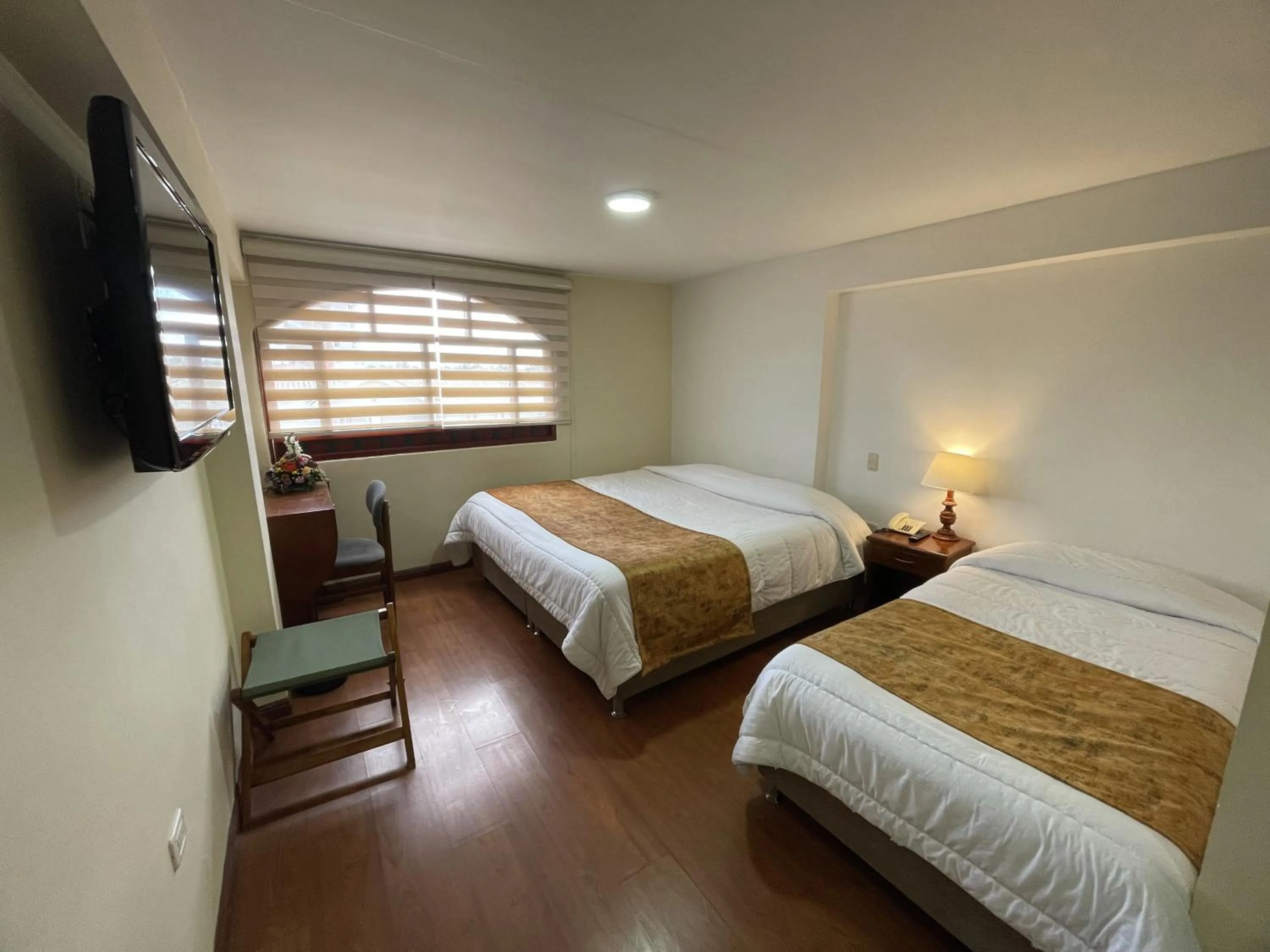 Standard Triple Room in Hotel El Lago