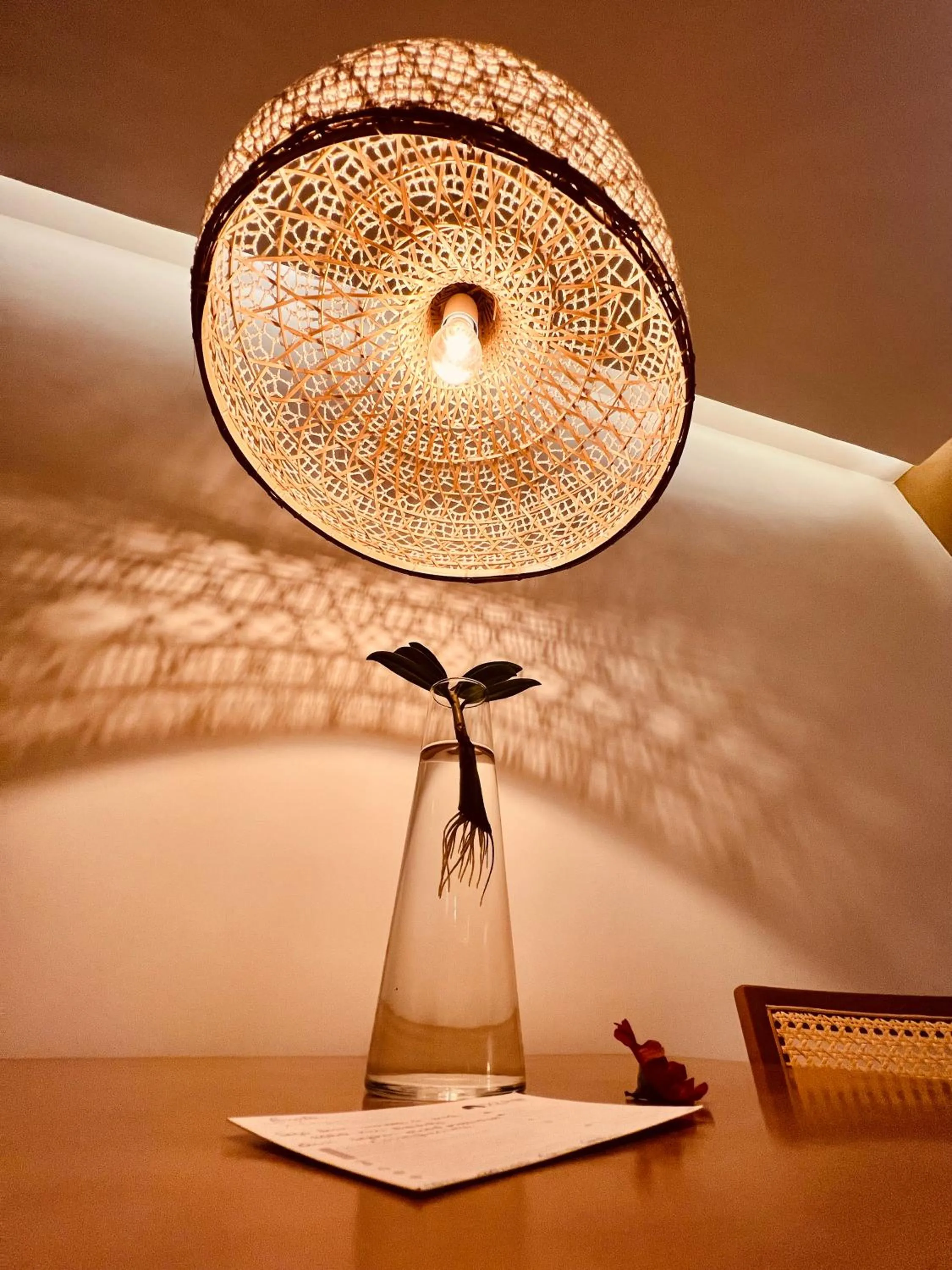 Meals in Dolphin Hotel