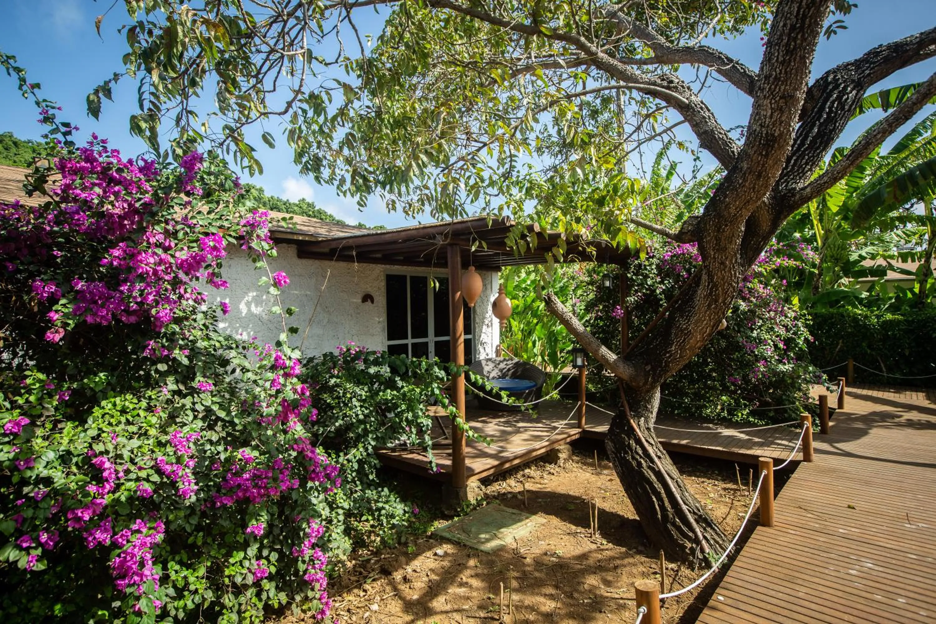 Patio in Dolphin Hotel