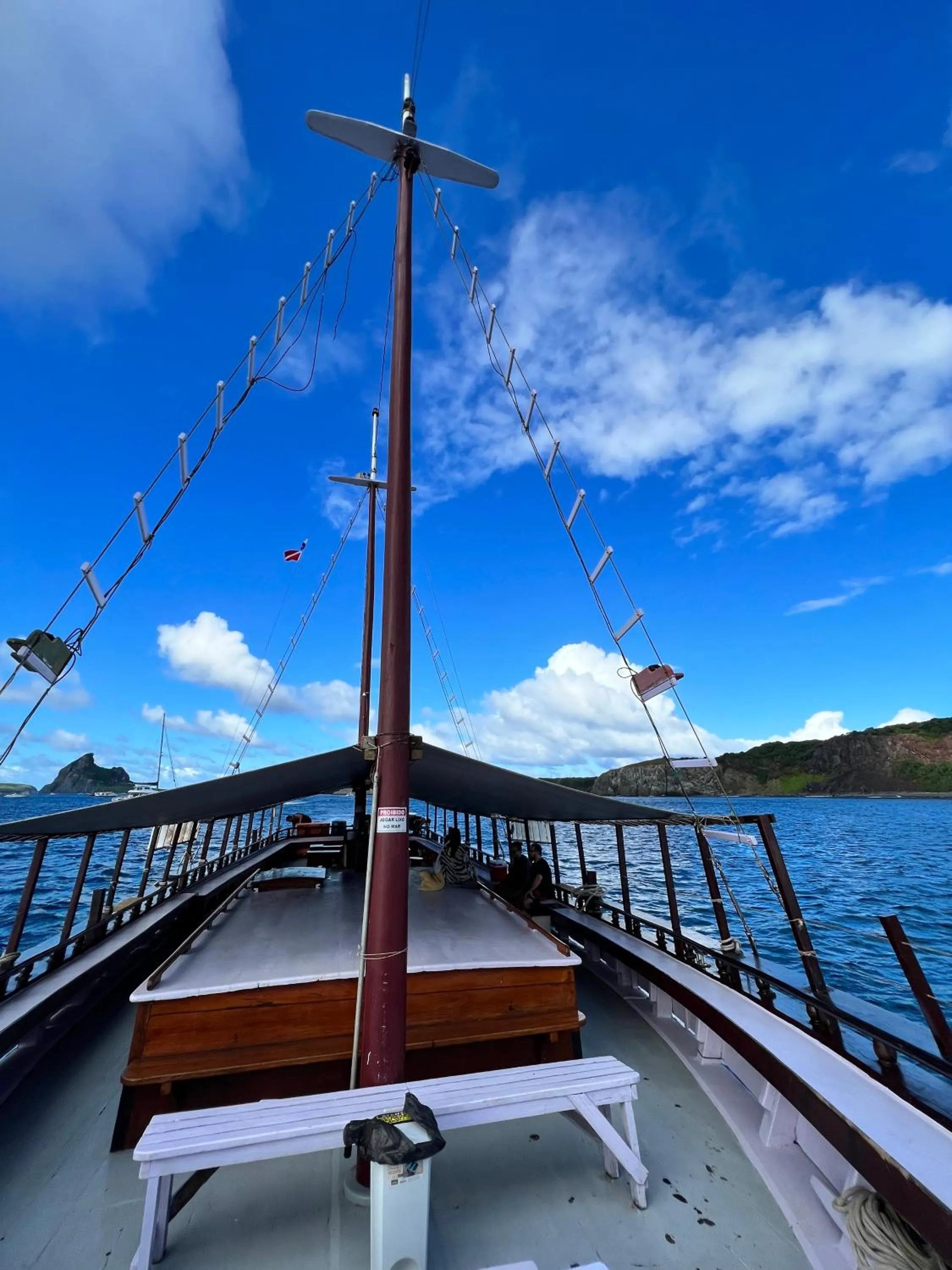 Activities in Dolphin Hotel