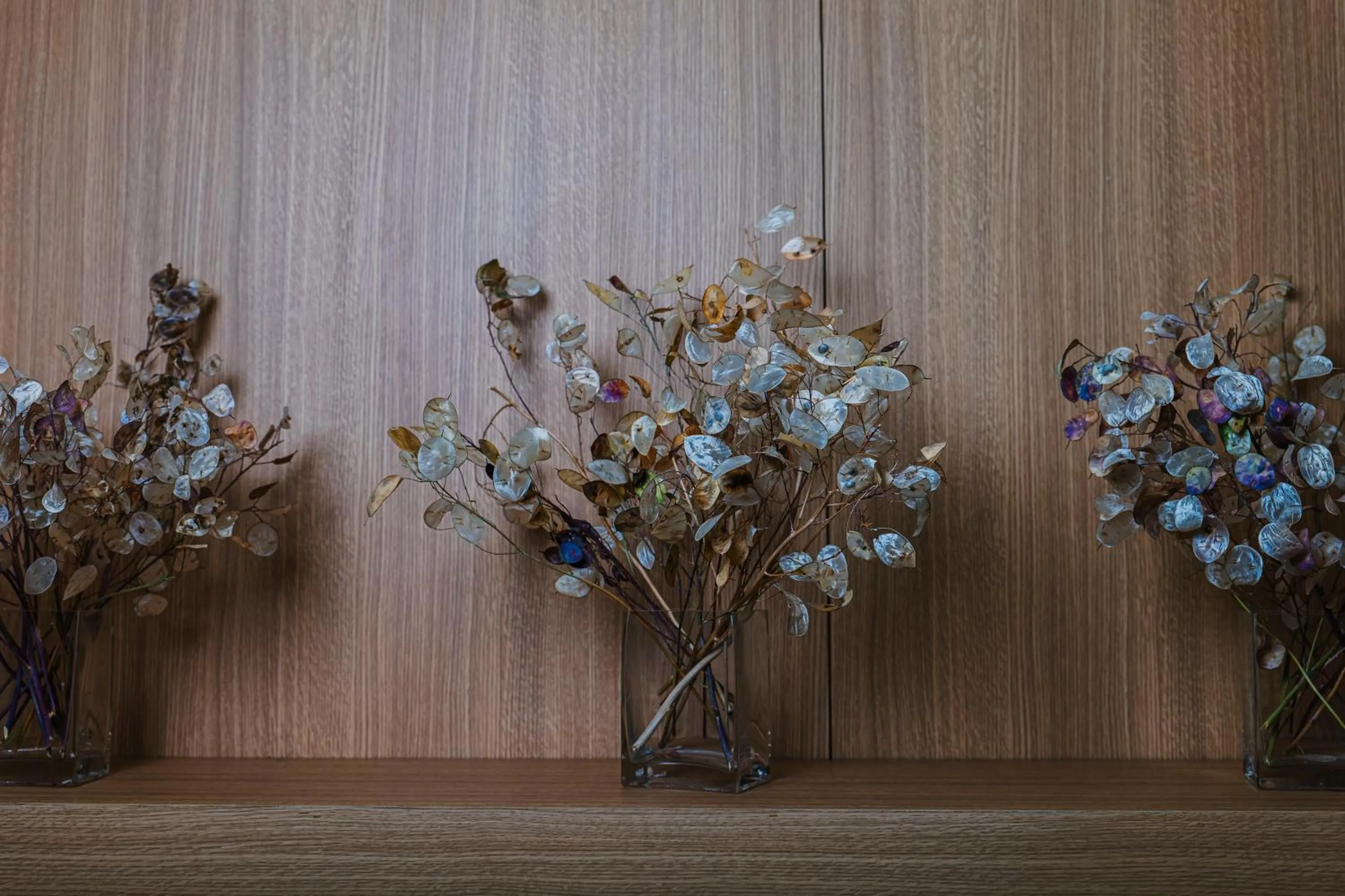 Property building in Plaza Paradiso Petit Hotel