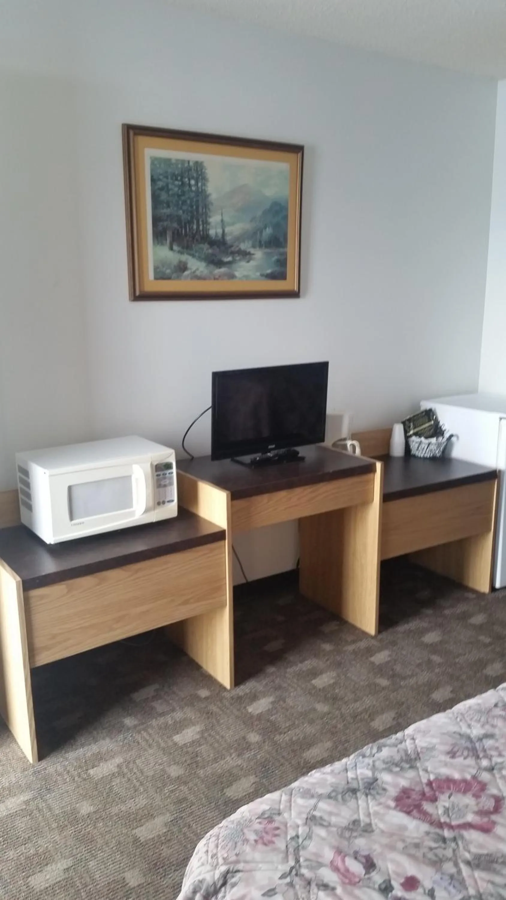 TV and multimedia in Rimbey Motor Inn