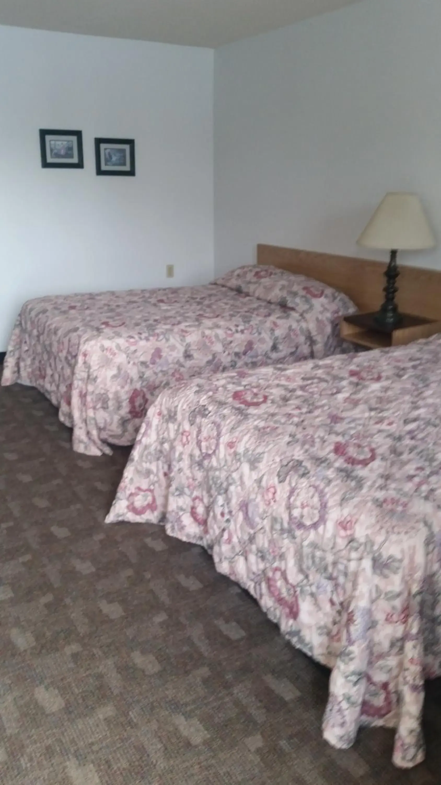 Standard Double Room - single occupancy in Rimbey Motor Inn Standard Double Room - single occupancy in Rimbey Motor Inn