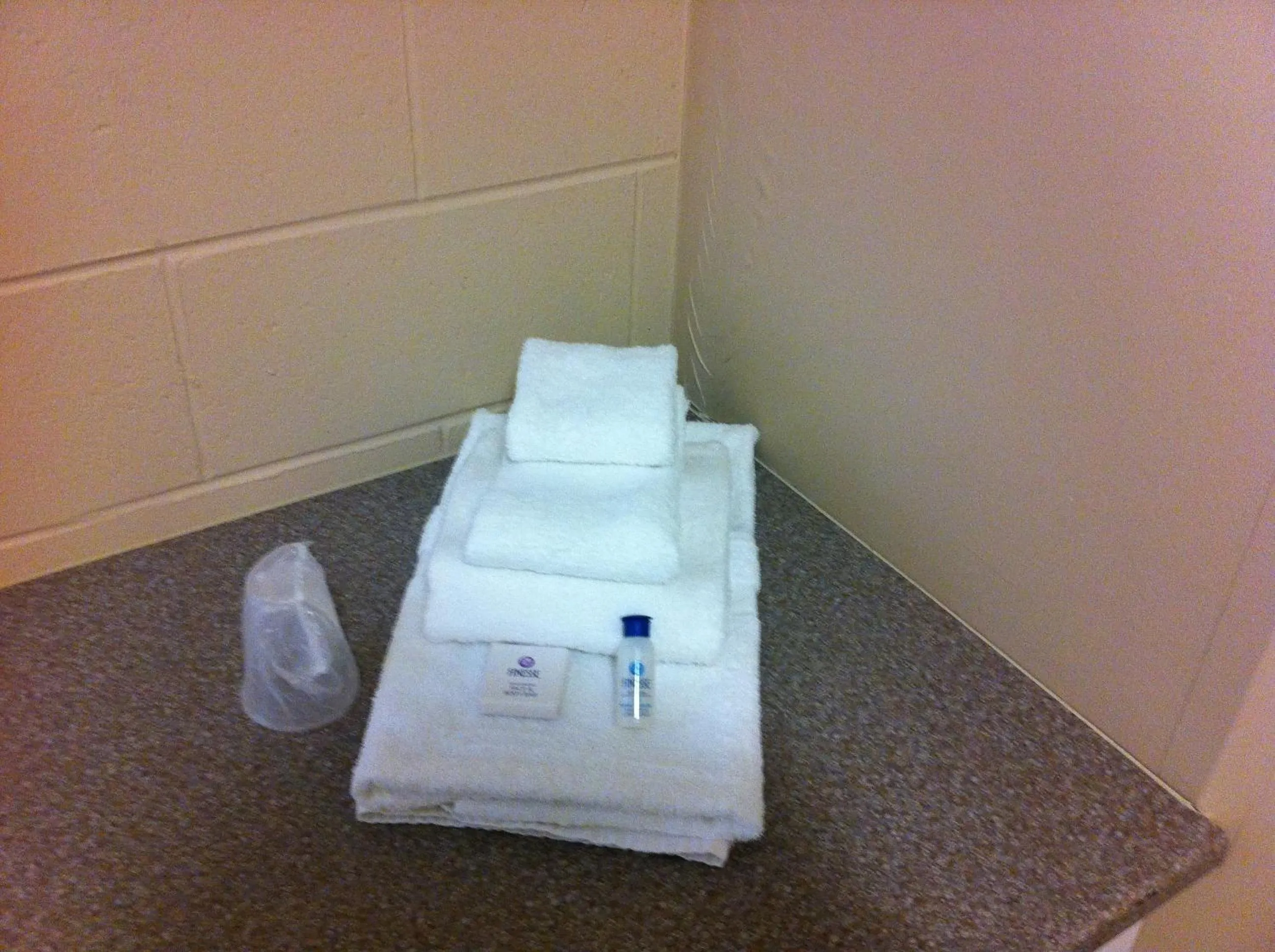 Decorative detail in Residence & Conference Centre - Sudbury North