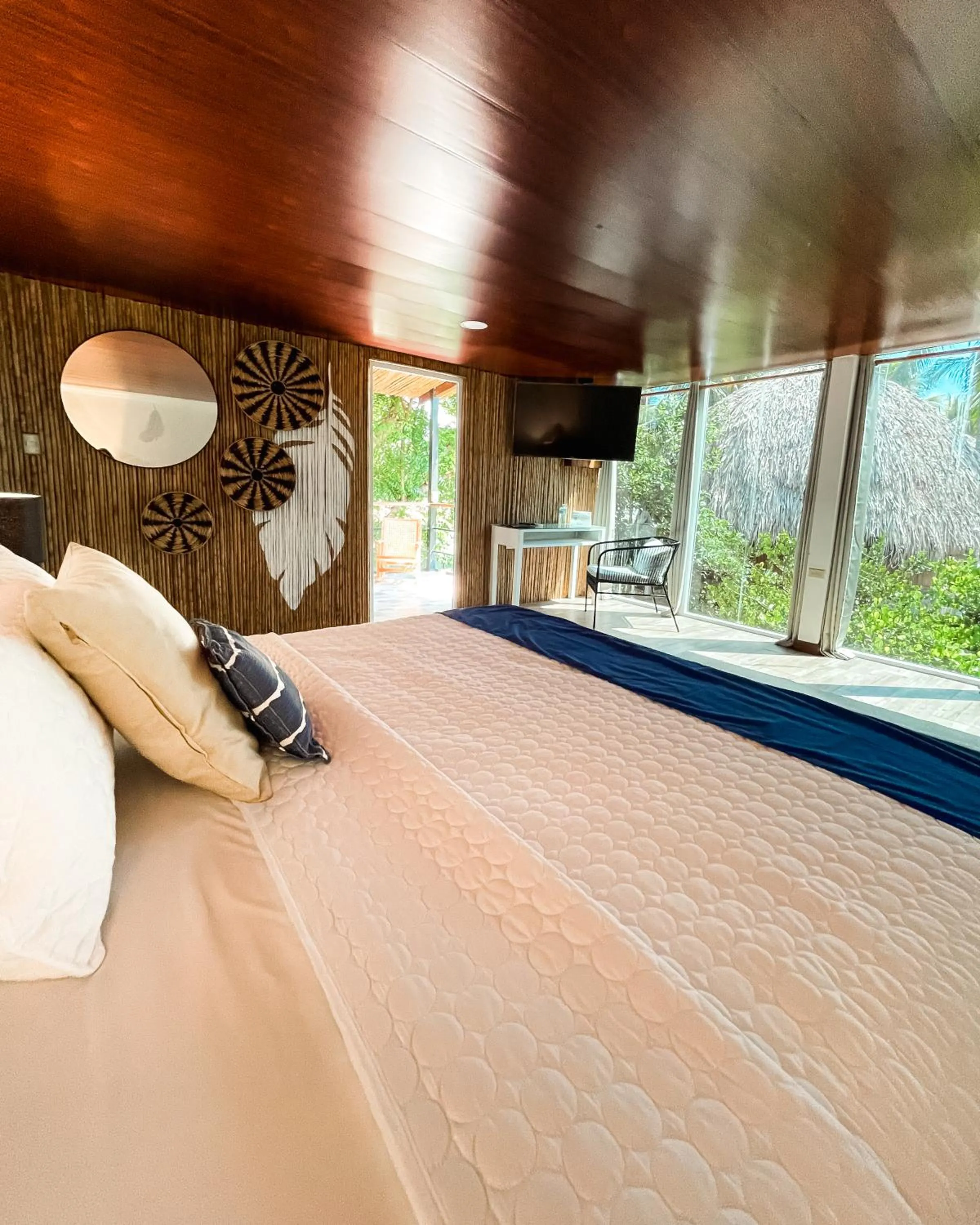 Photo of the whole room, Bed in Hotel Tortuga Village