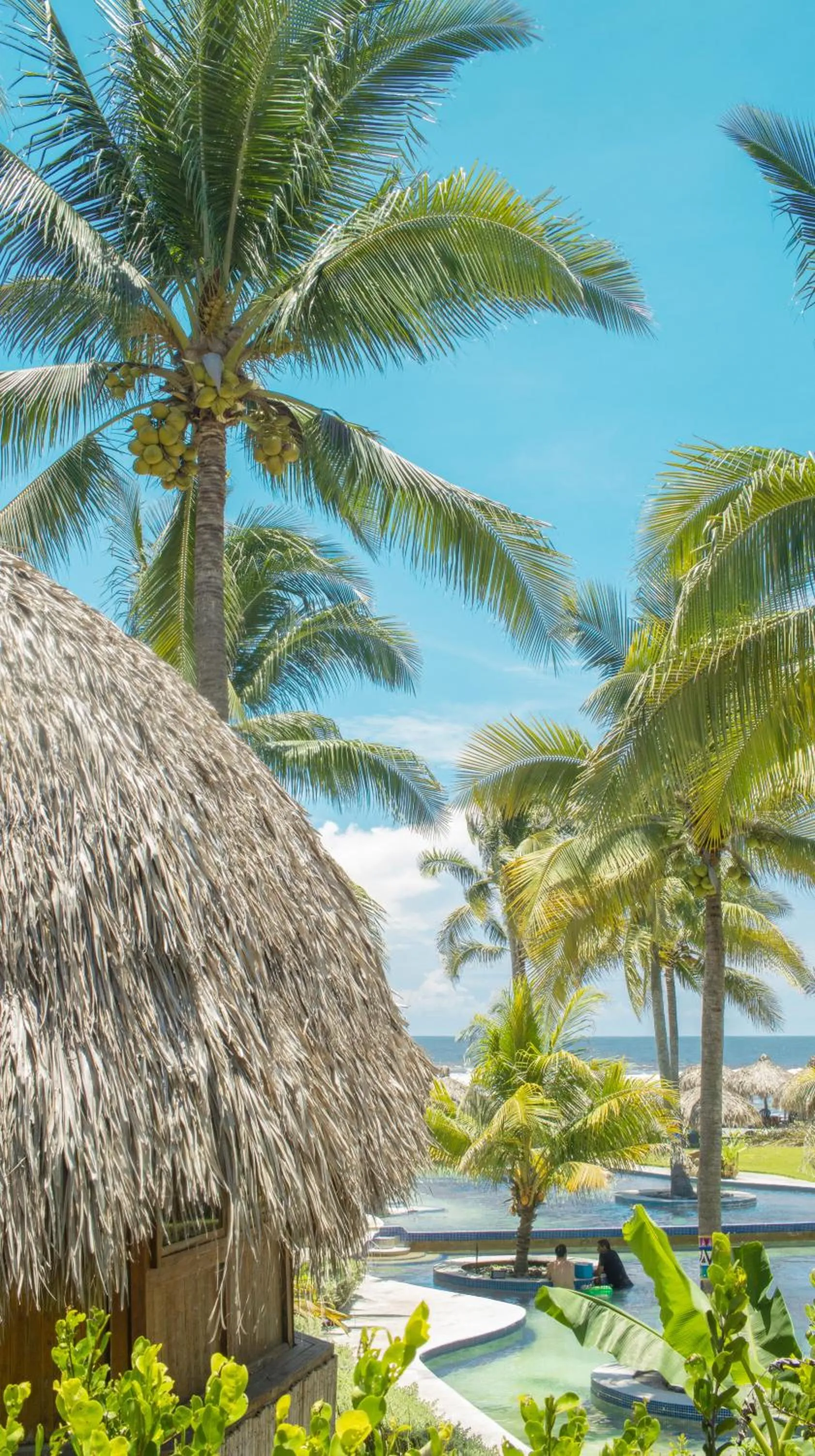 Natural landscape in Hotel Tortuga Village