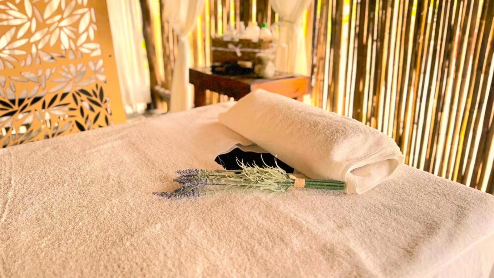 Spa and wellness centre/facilities, Bed in Hotel Tortuga Village